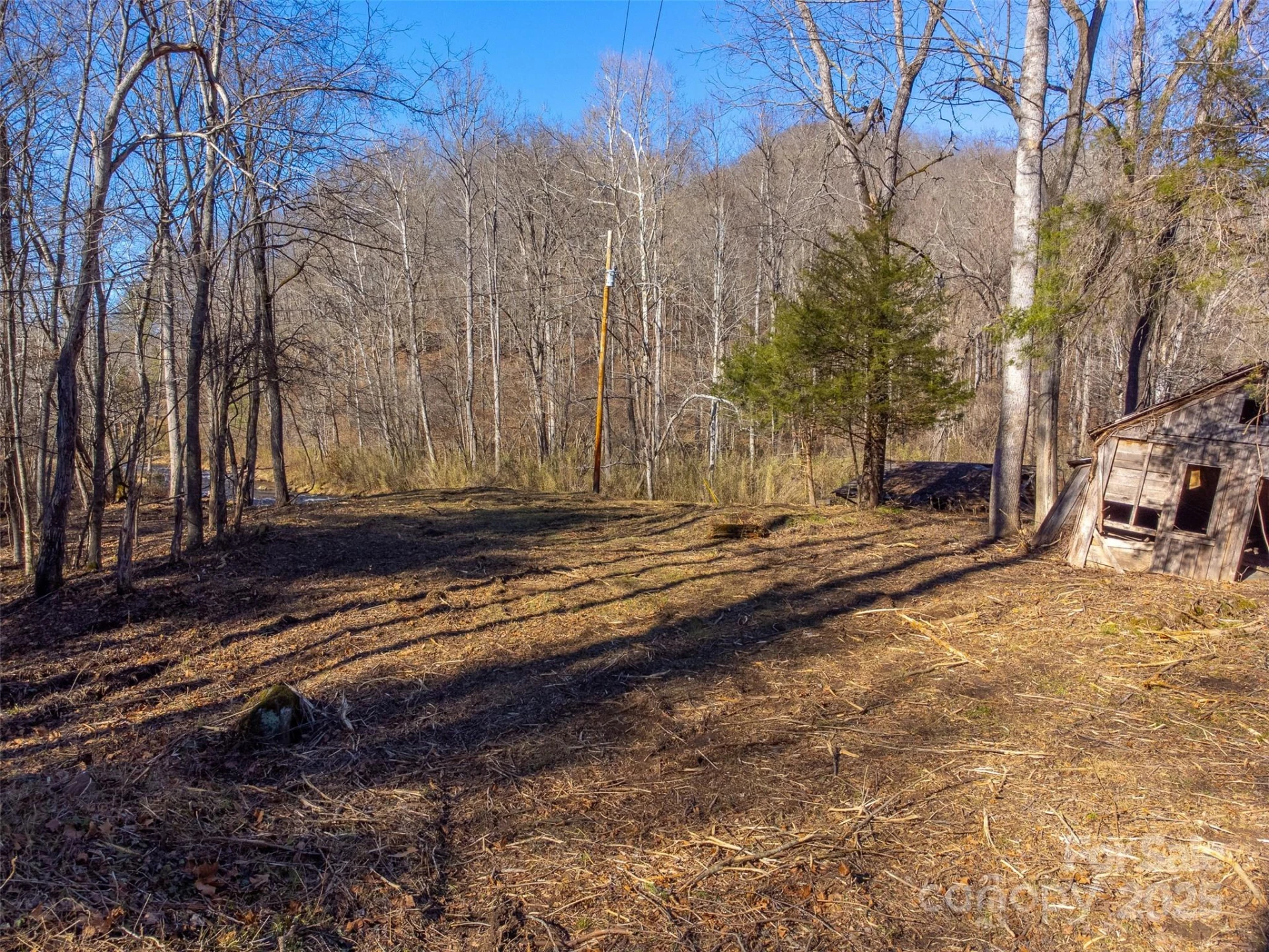 Lt 1,2,3 Caney Fork Road - Photo 12