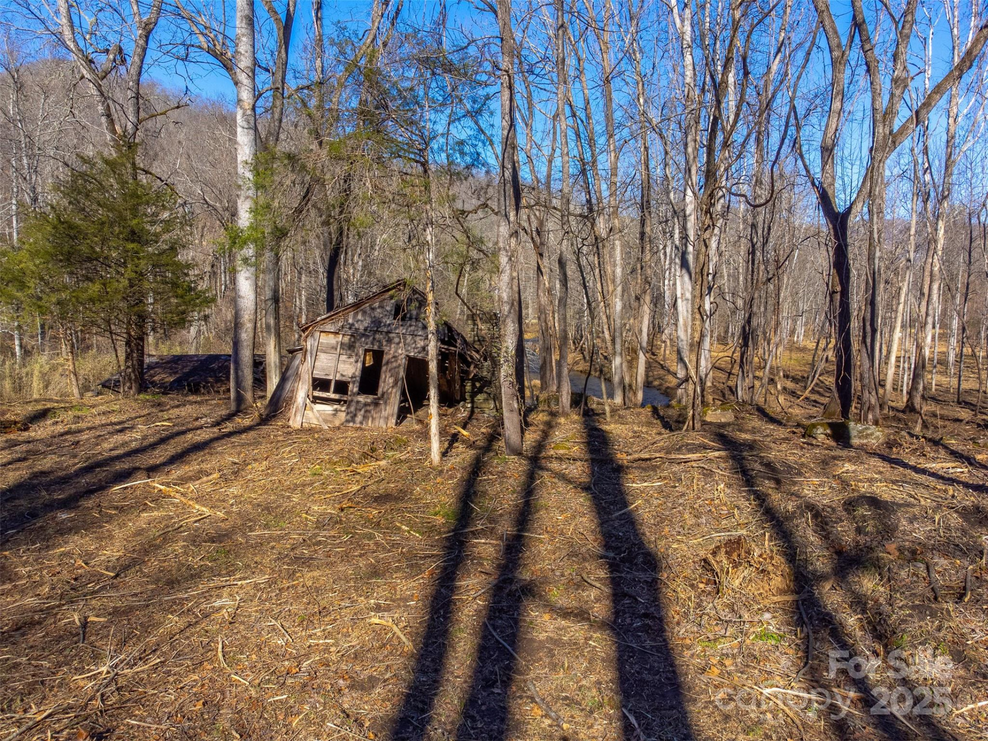 Lt 1,2,3 Caney Fork Road - Photo 13