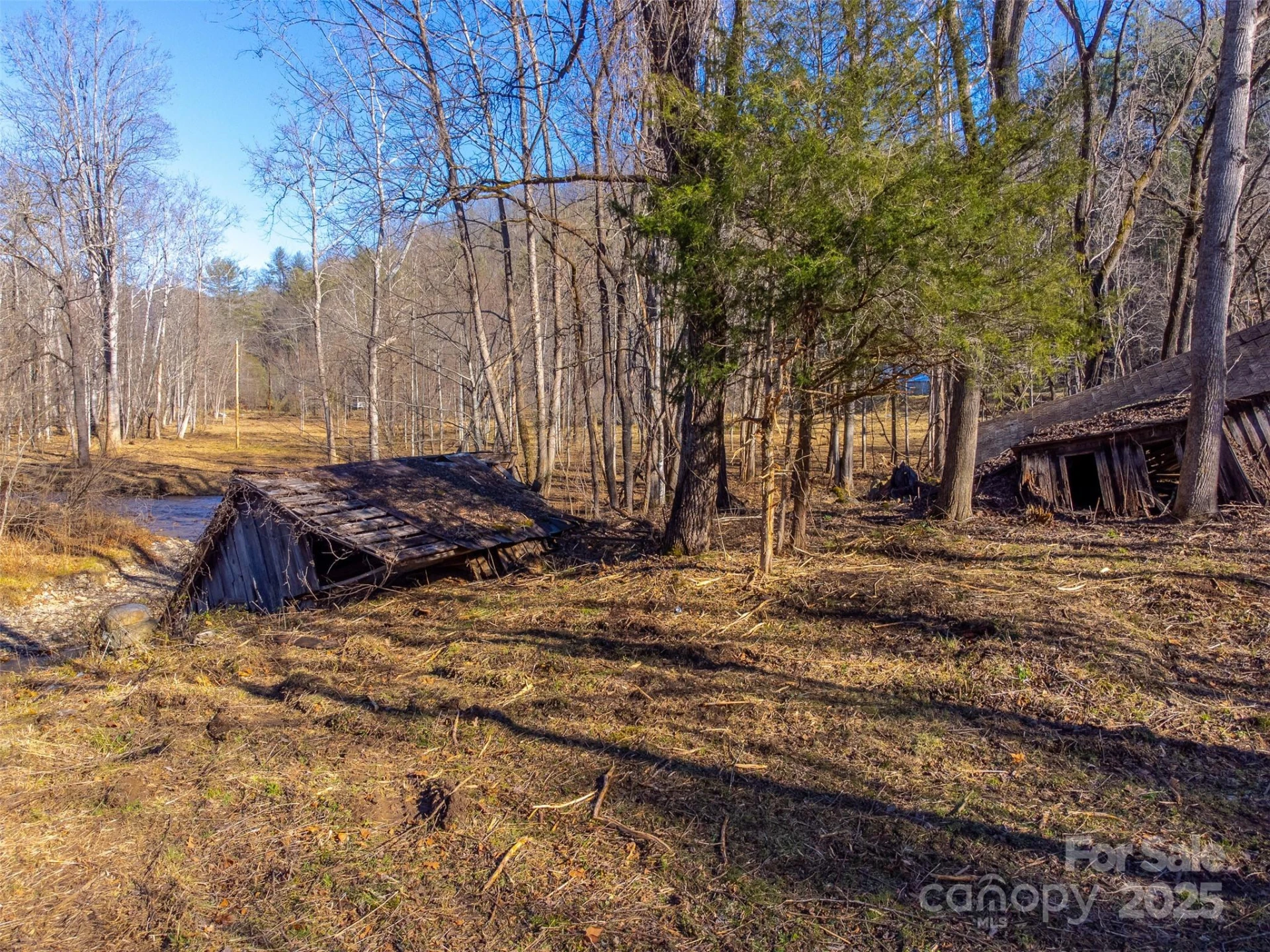 Lt 1,2,3 Caney Fork Road - Photo 15