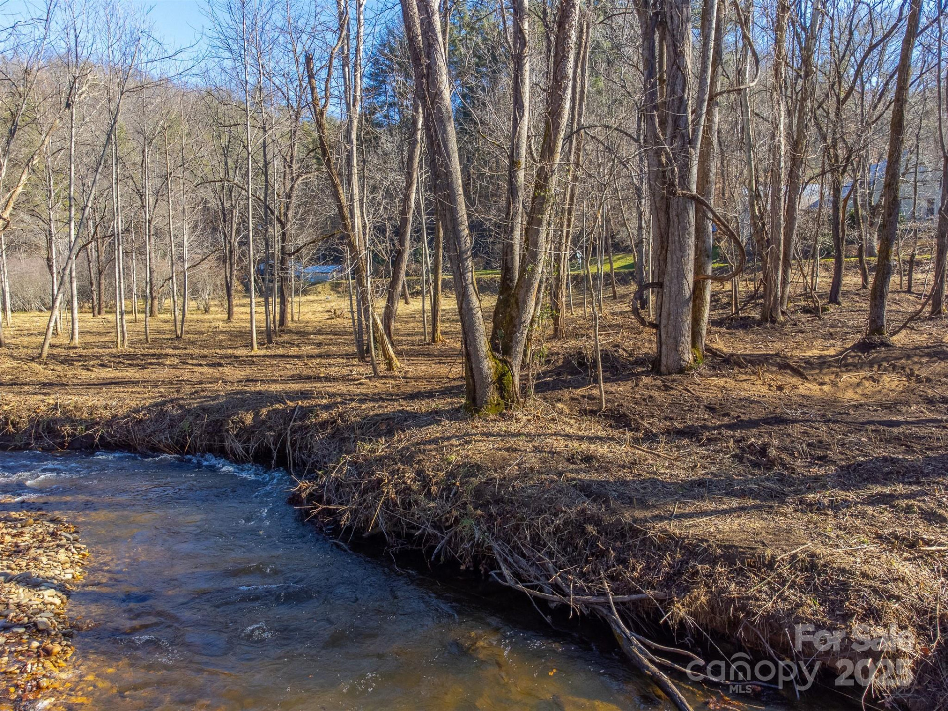 Lt 1,2,3 Caney Fork Road - Photo 19