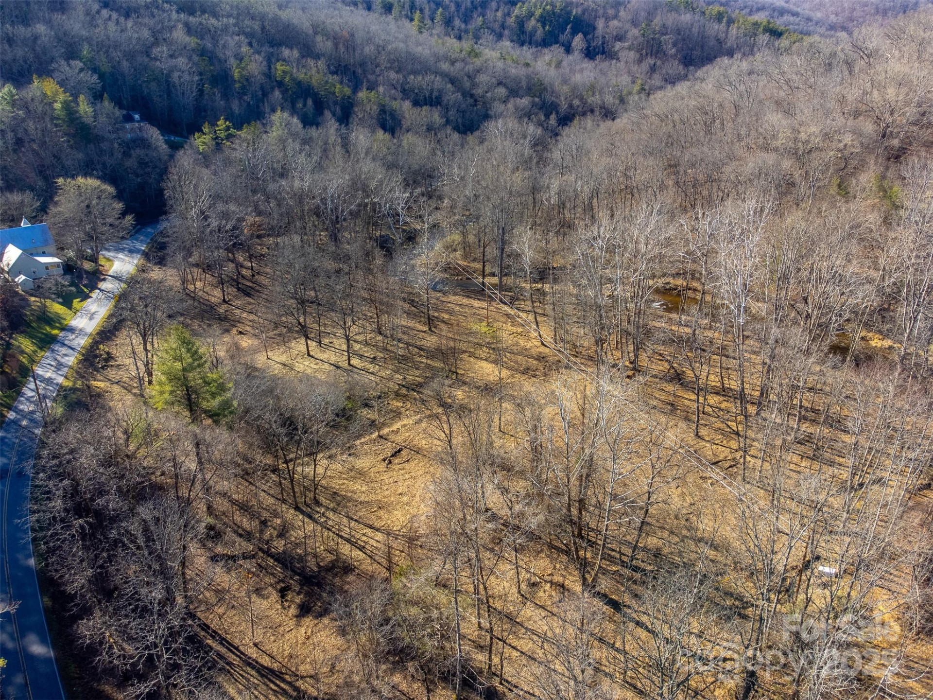 Lt 1,2,3 Caney Fork Road - Photo 3