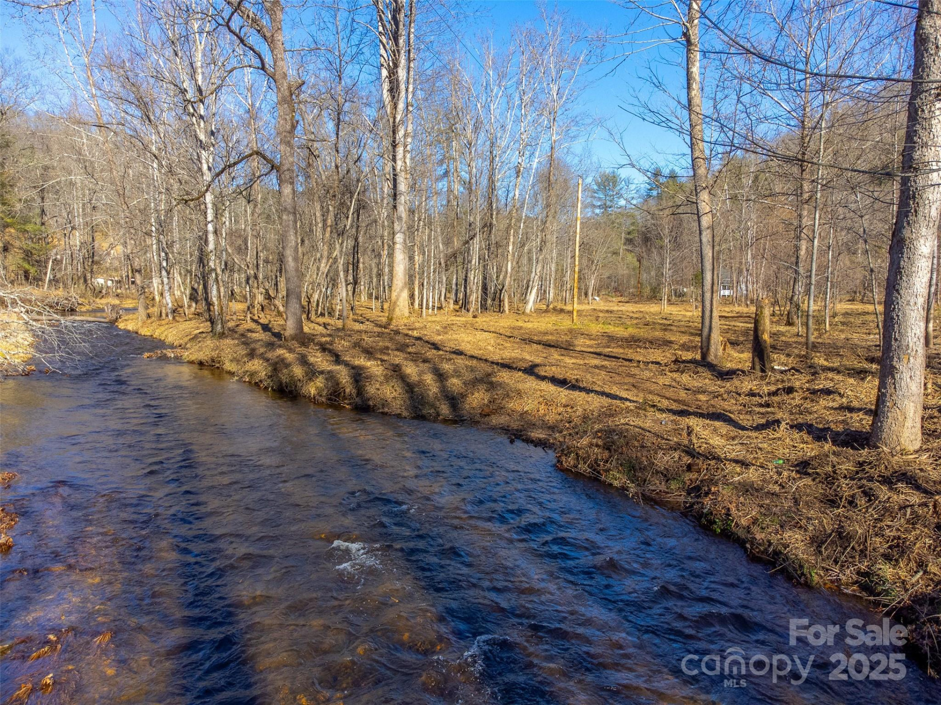 Lt 1,2,3 Caney Fork Road - Photo 21