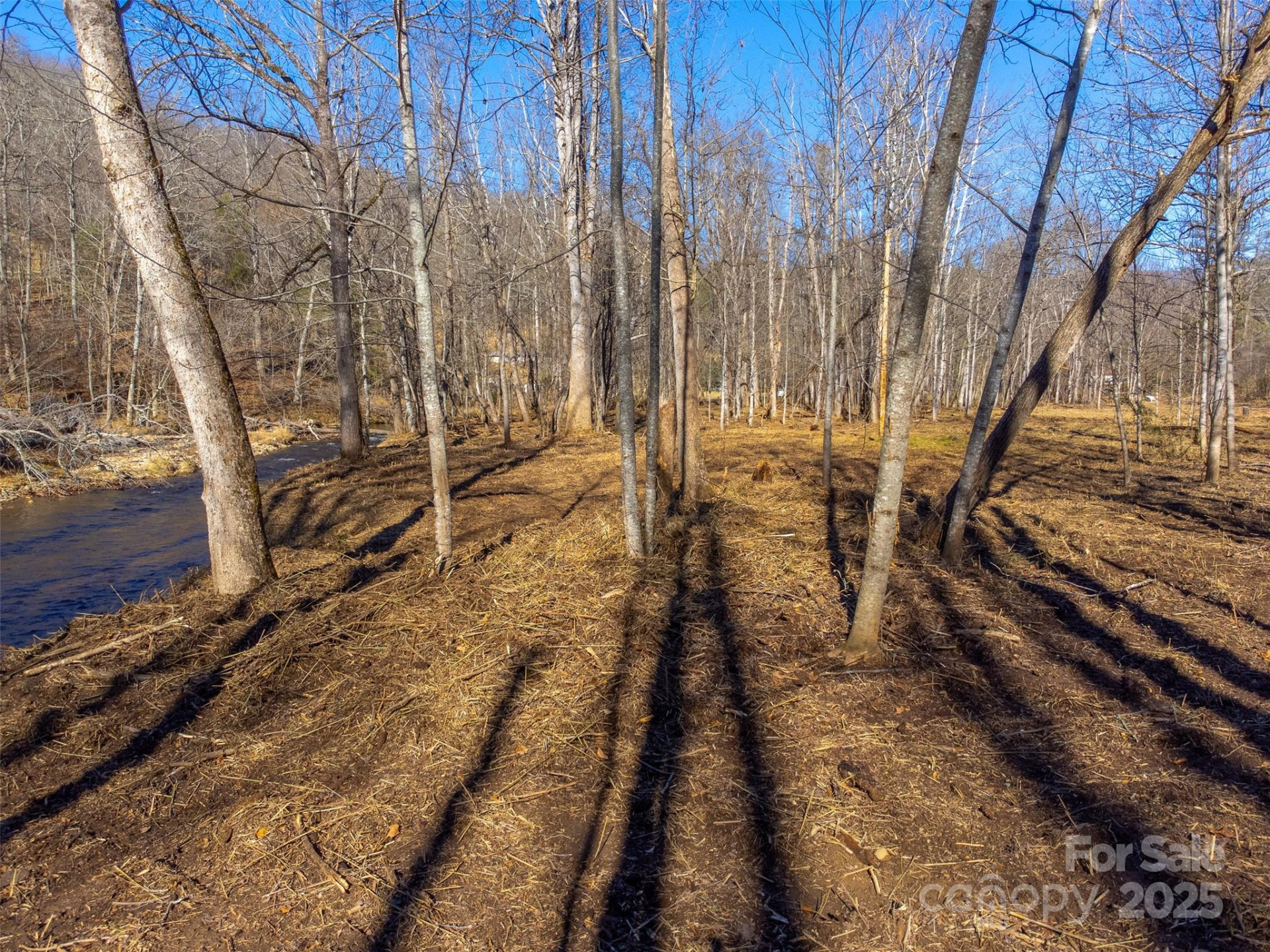 Lt 1,2,3 Caney Fork Road - Photo 23