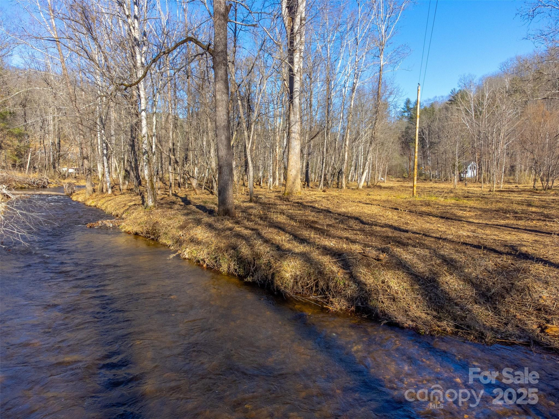 Lt 1,2,3 Caney Fork Road - Photo 24