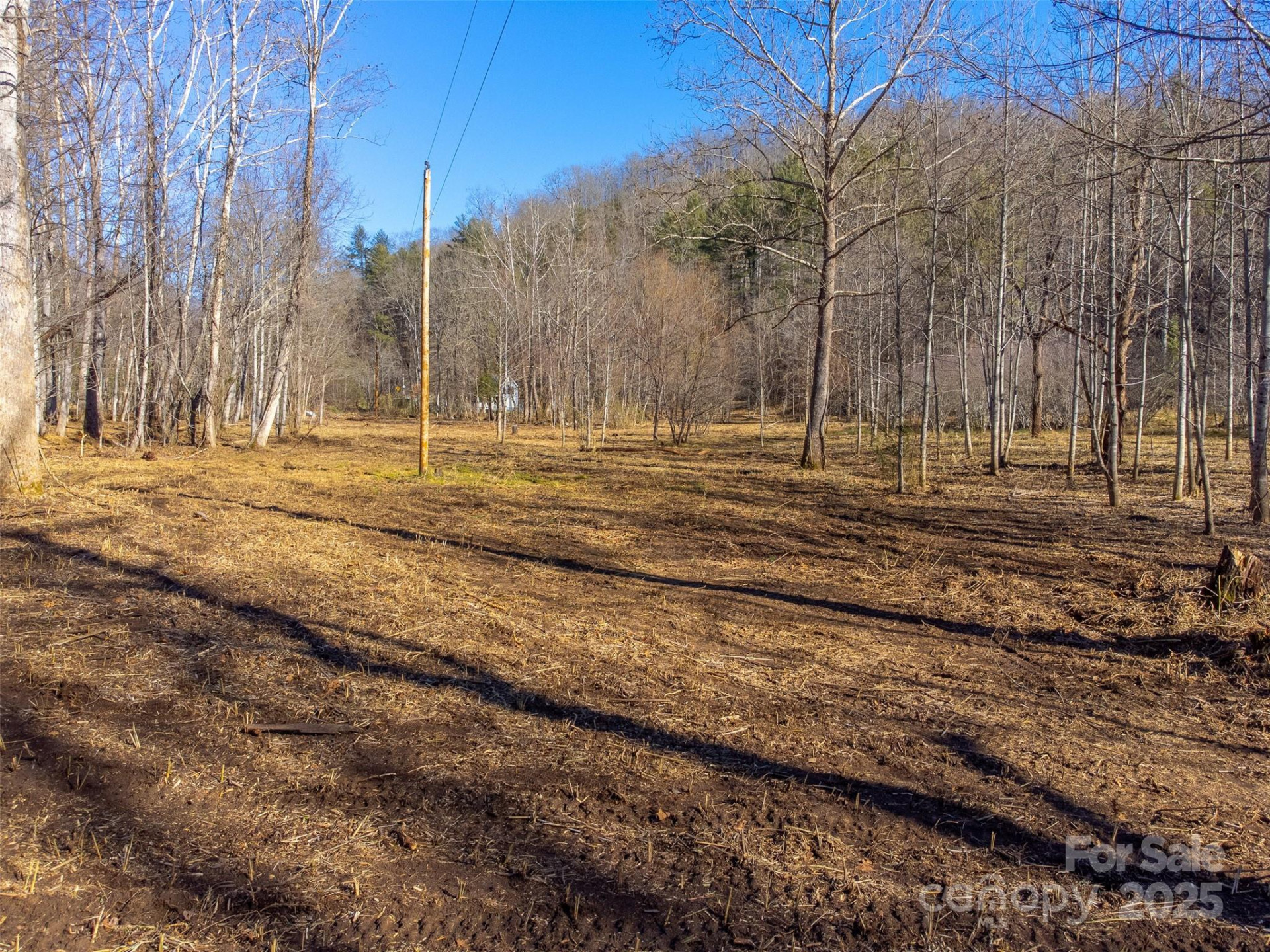 Lt 1,2,3 Caney Fork Road - Photo 25
