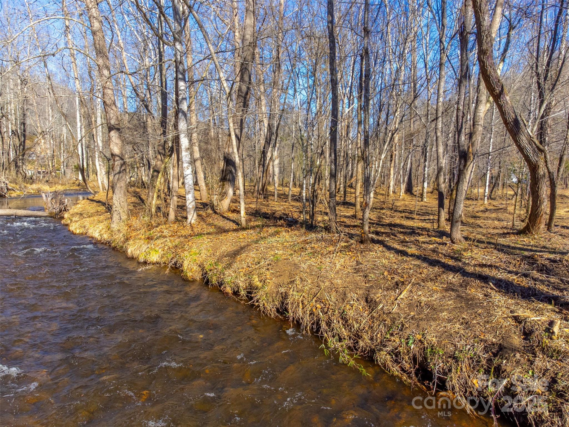 Lt 1,2,3 Caney Fork Road - Photo 27