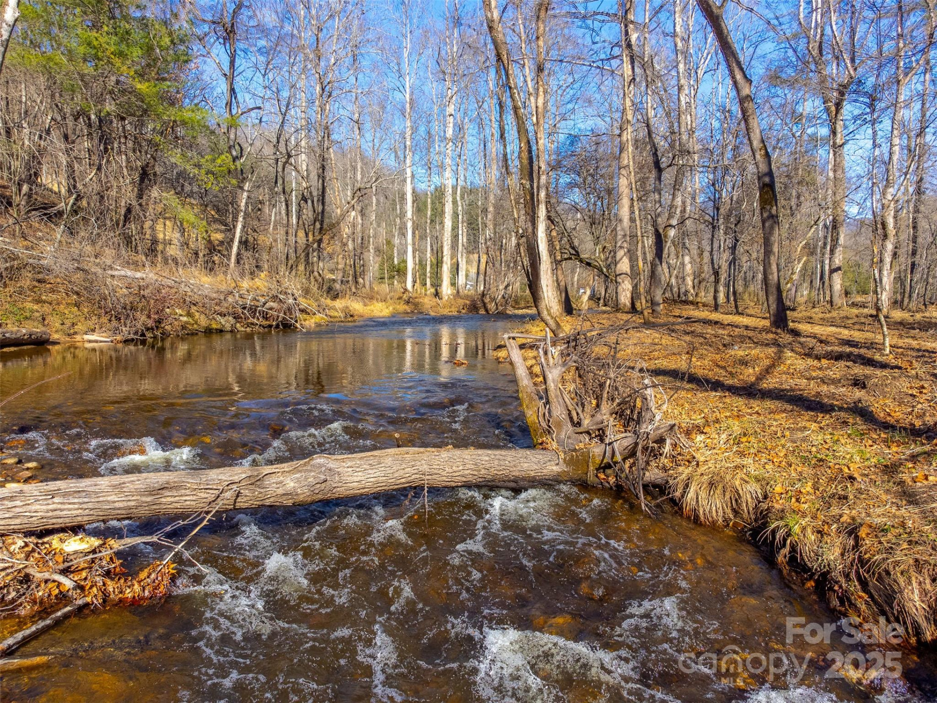 Lt 1,2,3 Caney Fork Road - Photo 28
