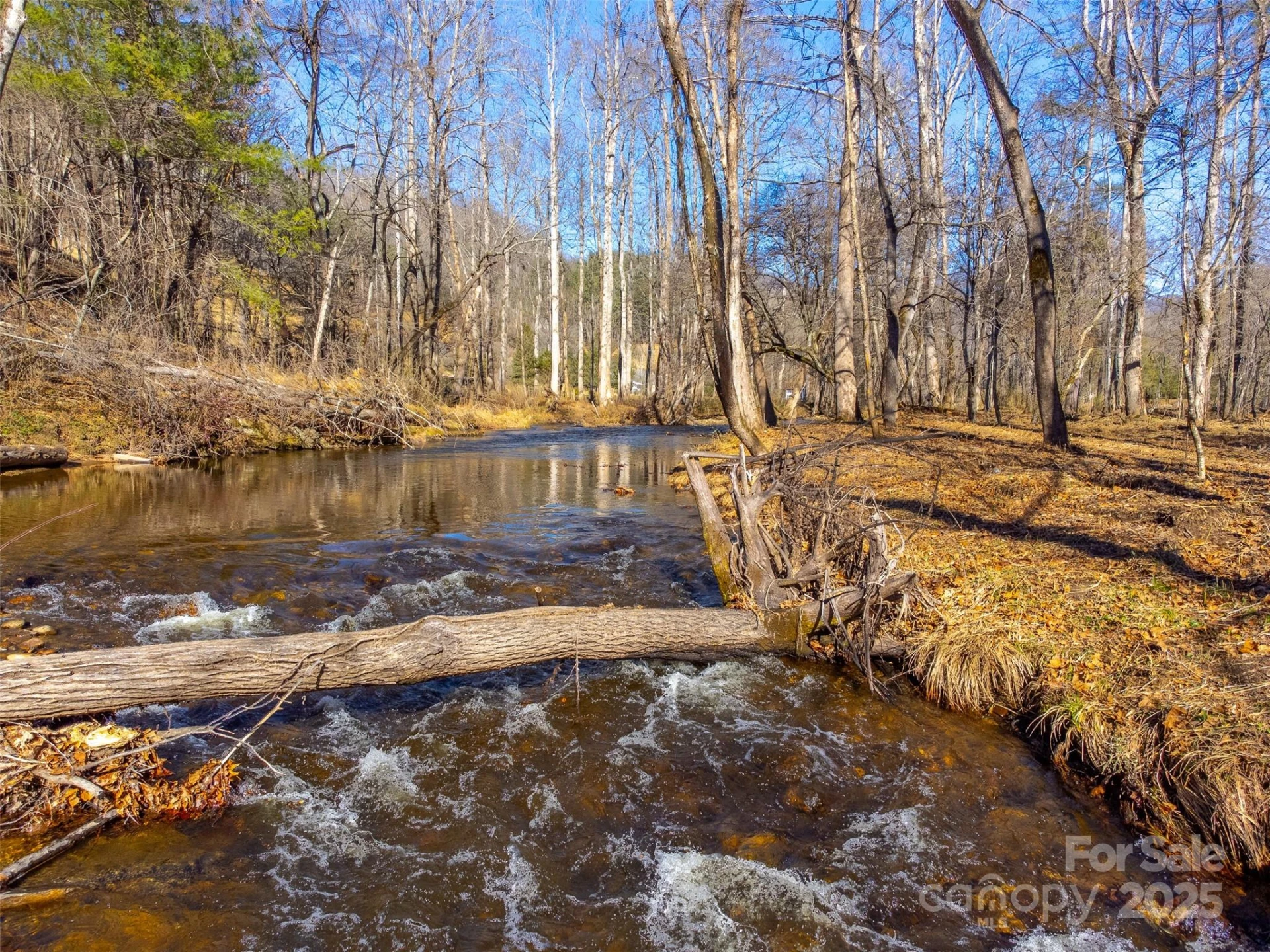 Lt 1,2,3 Caney Fork Road - Photo 28