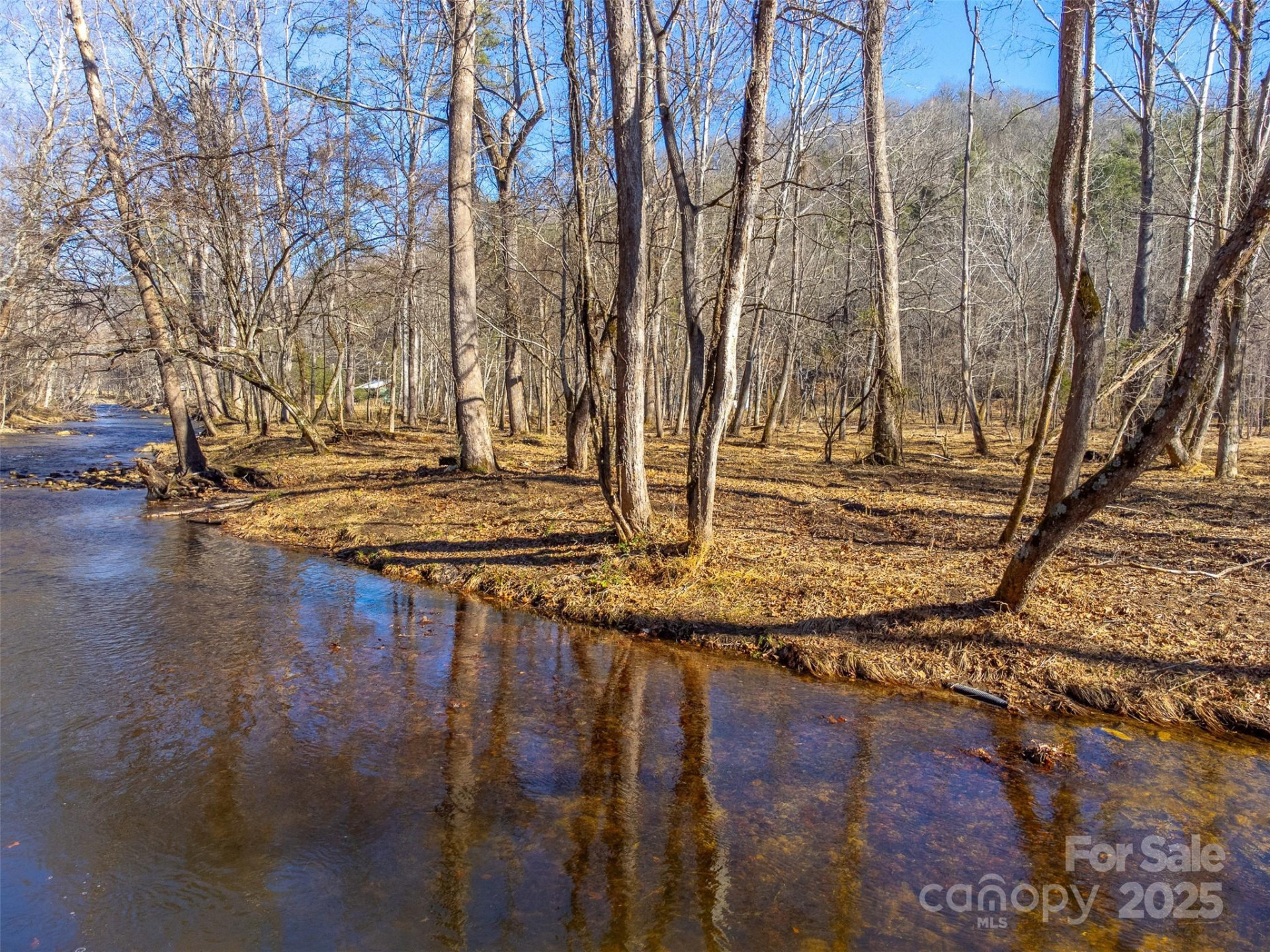 Lt 1,2,3 Caney Fork Road - Photo 29