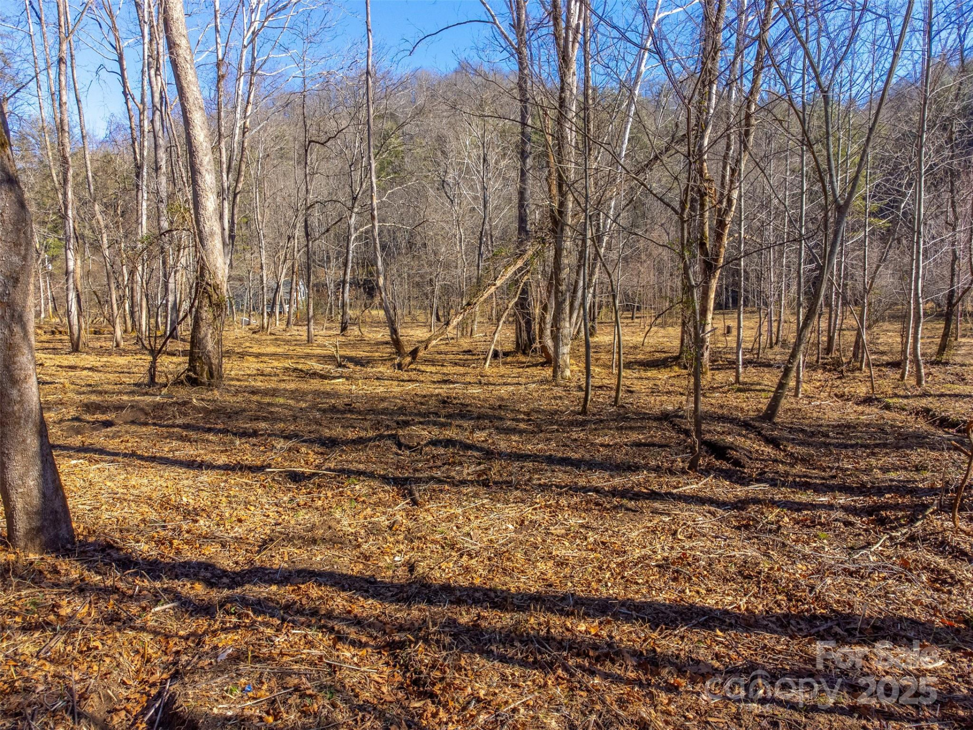 Lt 1,2,3 Caney Fork Road - Photo 30