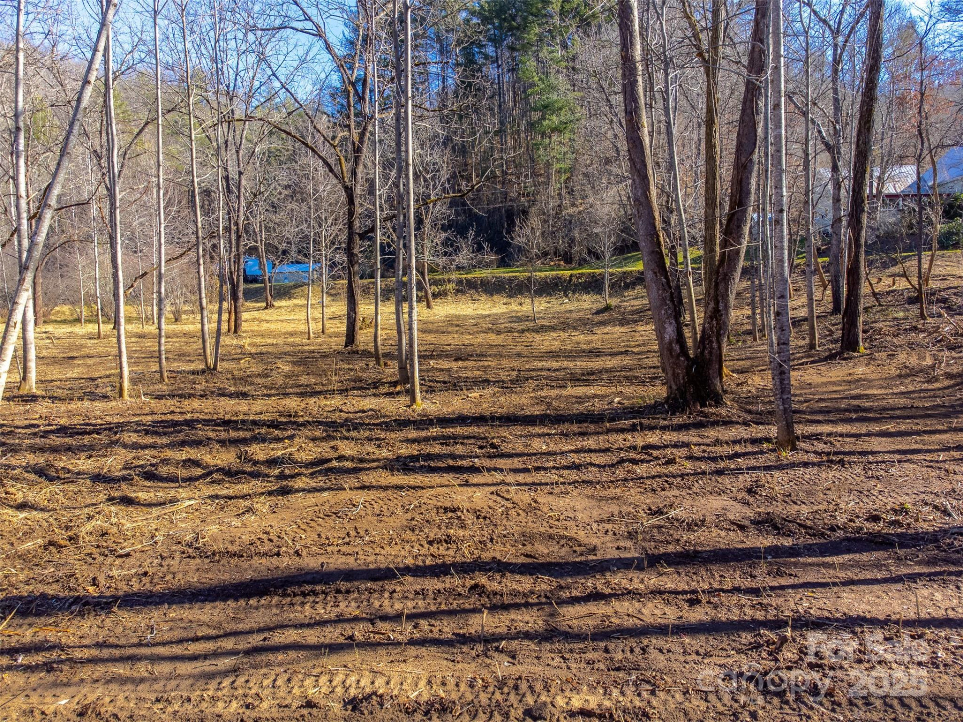 Lt 1,2,3 Caney Fork Road - Photo 4