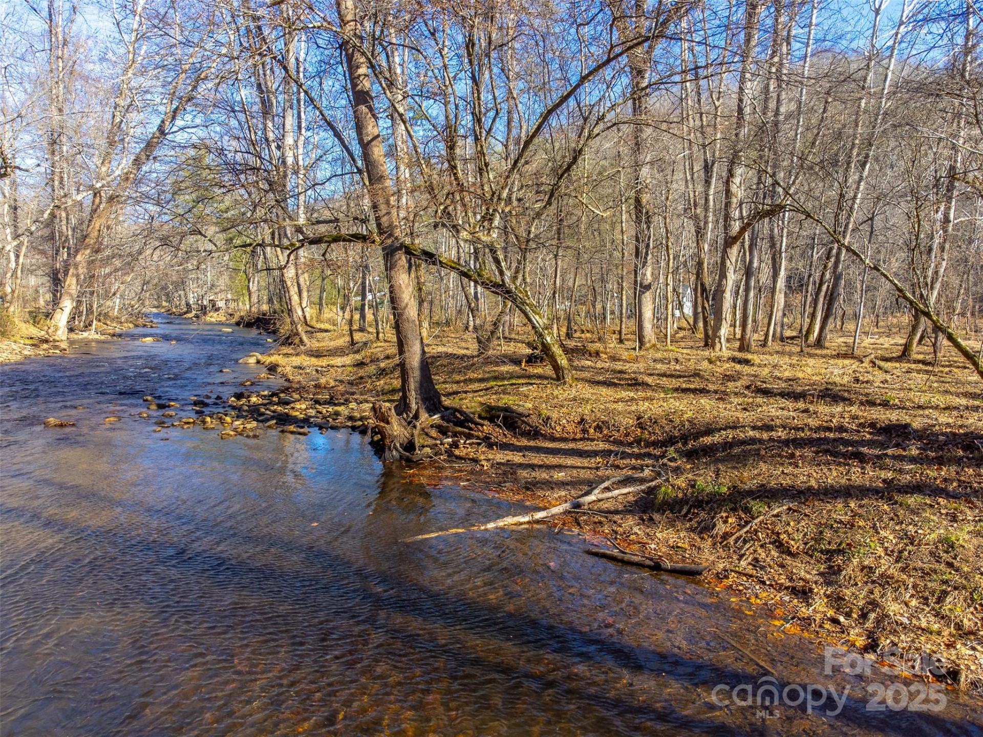 Lt 1,2,3 Caney Fork Road - Photo 31