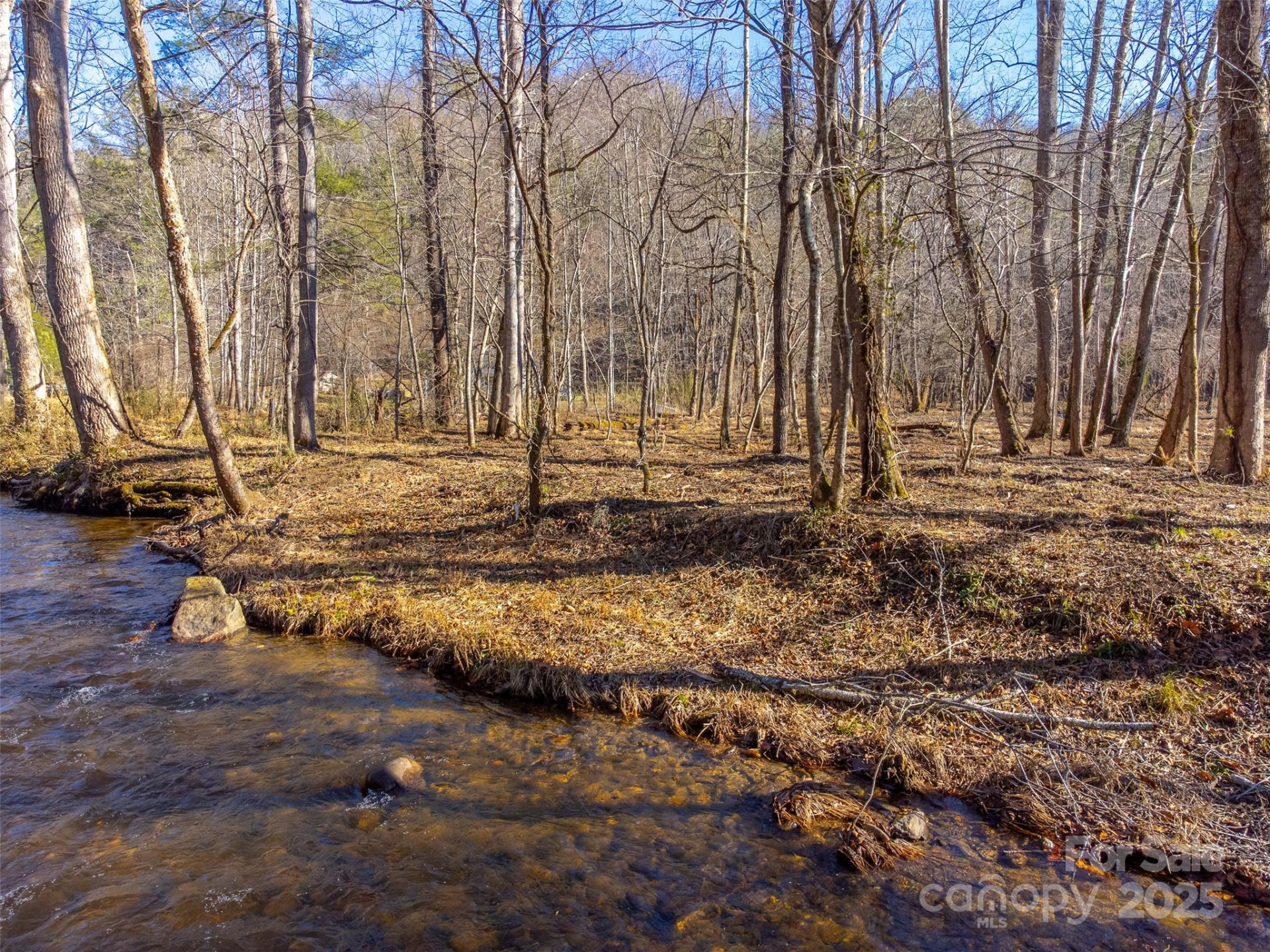 Lt 1,2,3 Caney Fork Road - Photo 32
