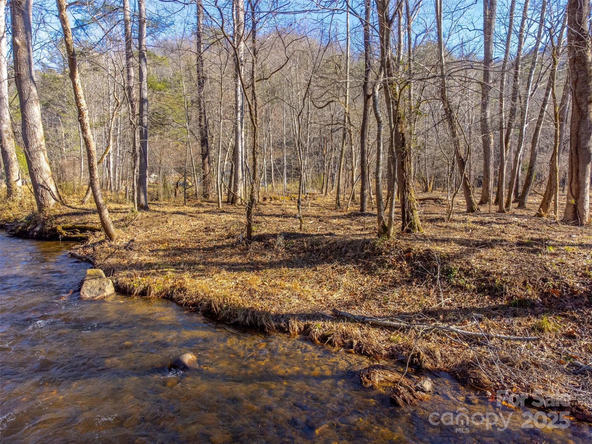 Lt 1,2,3 Caney Fork Road - Photo 32