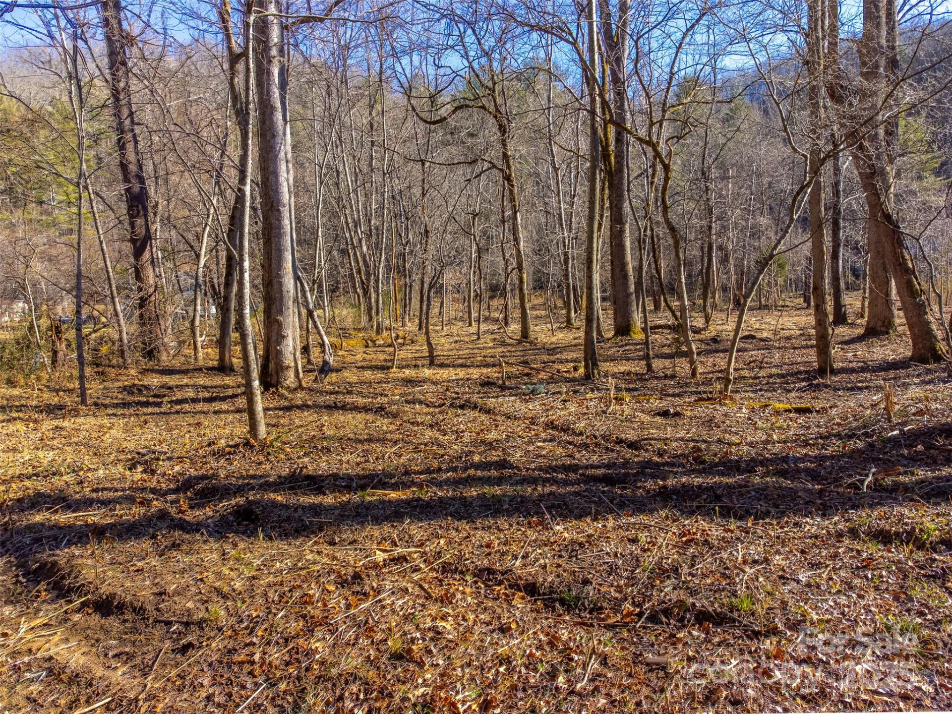 Lt 1,2,3 Caney Fork Road - Photo 33