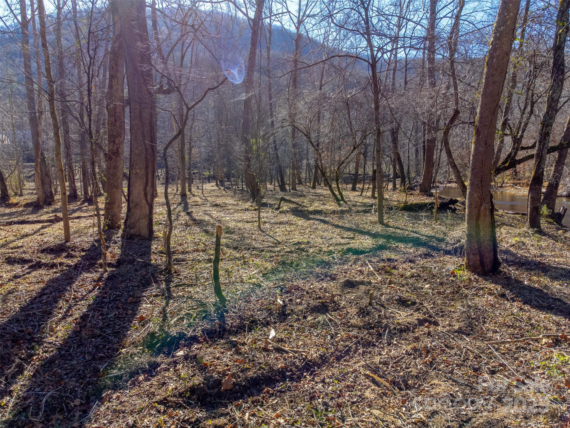 Lt 1,2,3 Caney Fork Road - Photo 34