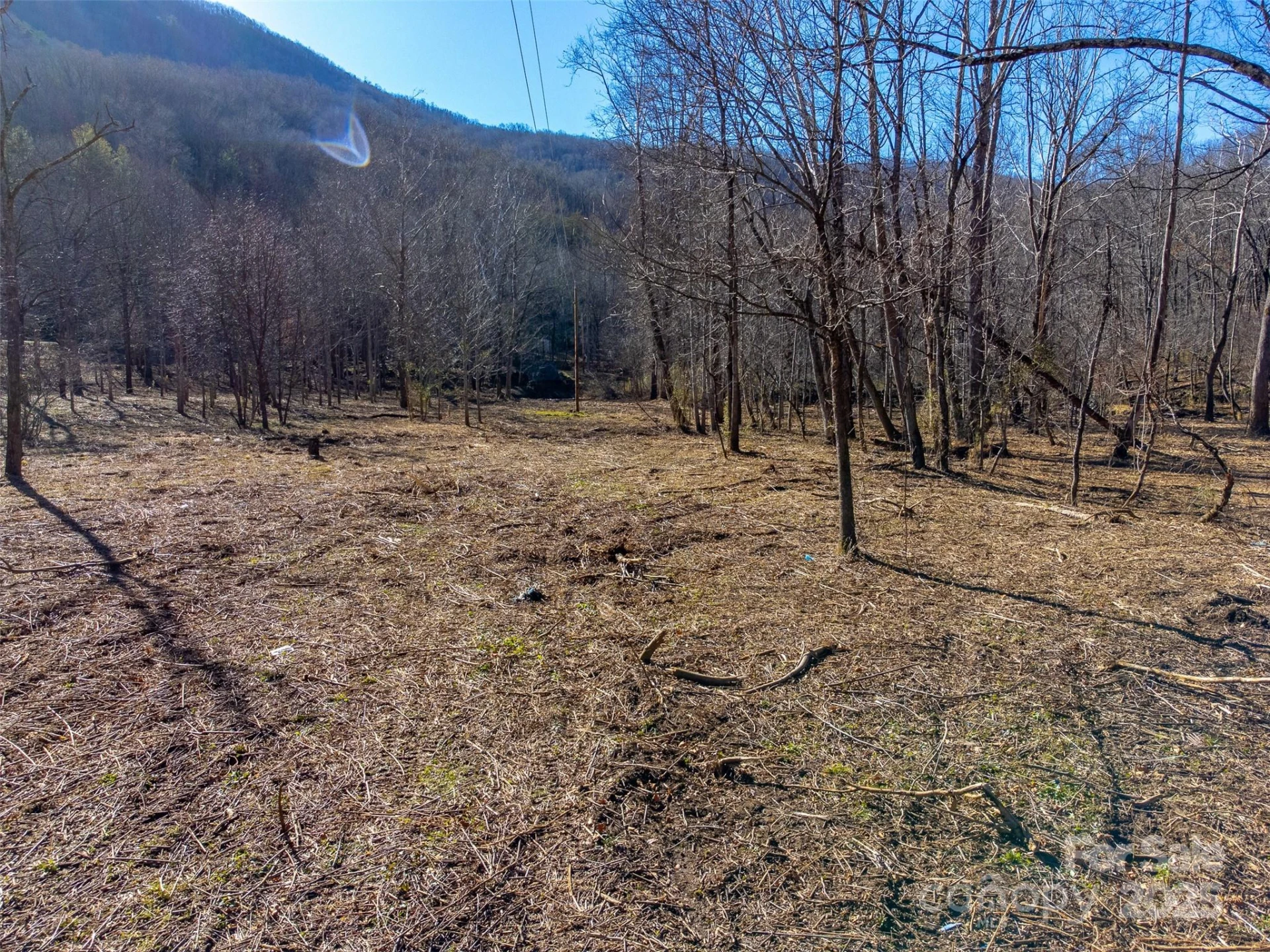 Lt 1,2,3 Caney Fork Road - Photo 35