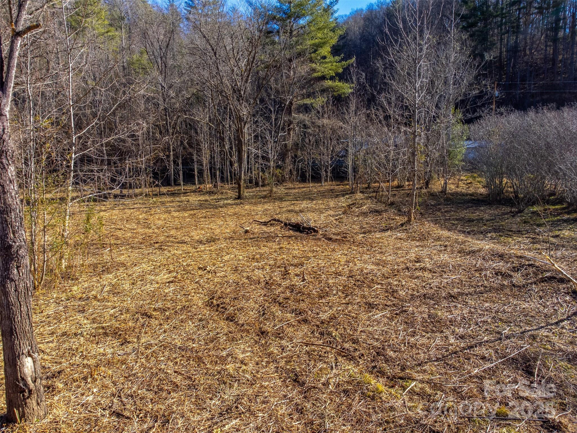 Lt 1,2,3 Caney Fork Road - Photo 36