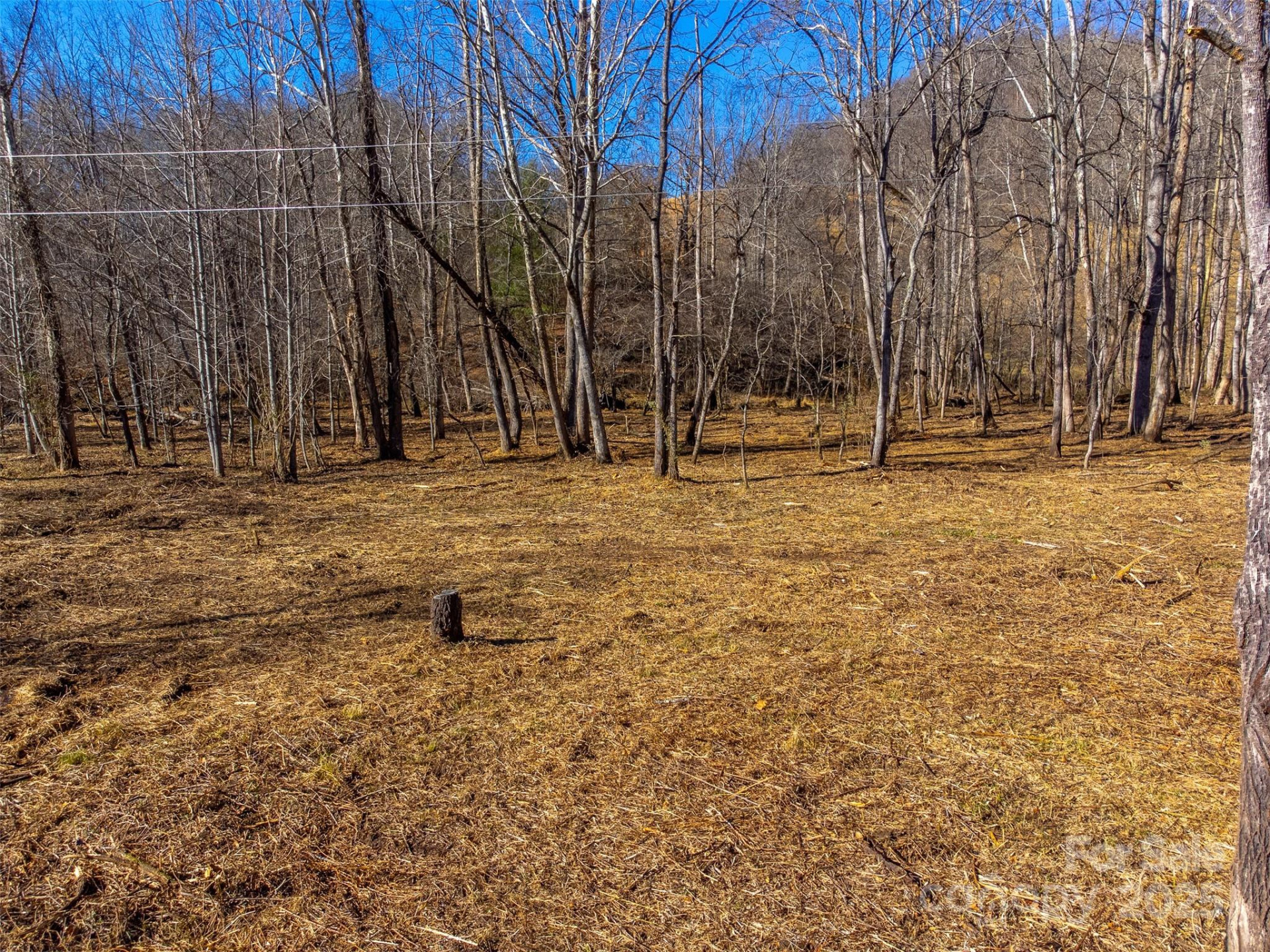 Lt 1,2,3 Caney Fork Road - Photo 37