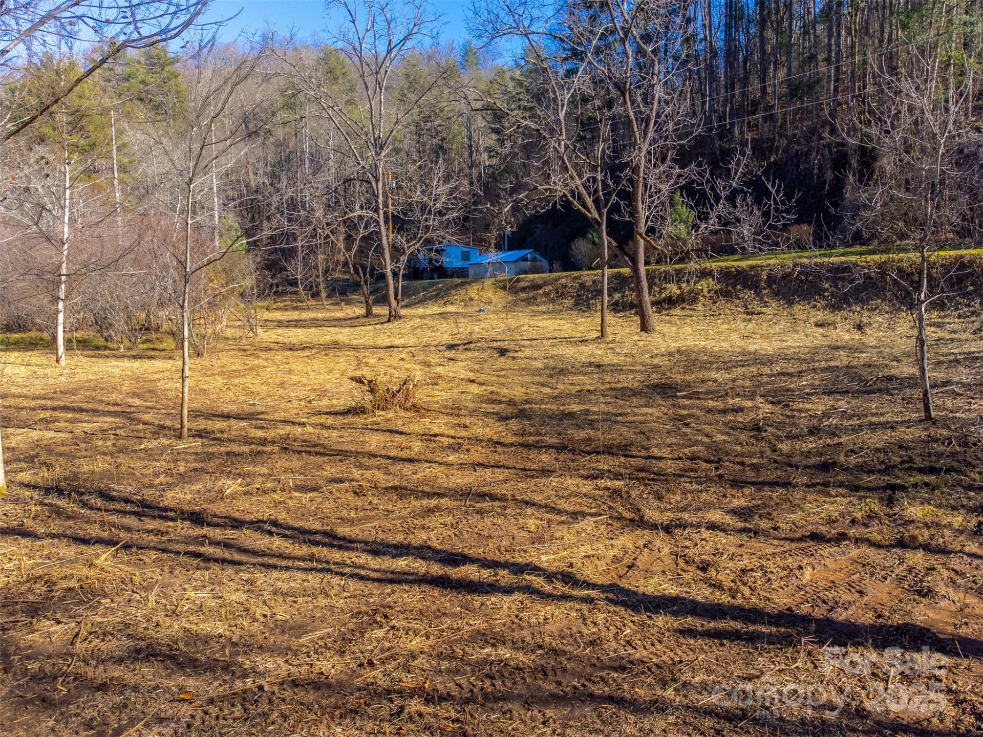 Lt 1,2,3 Caney Fork Road - Photo 38