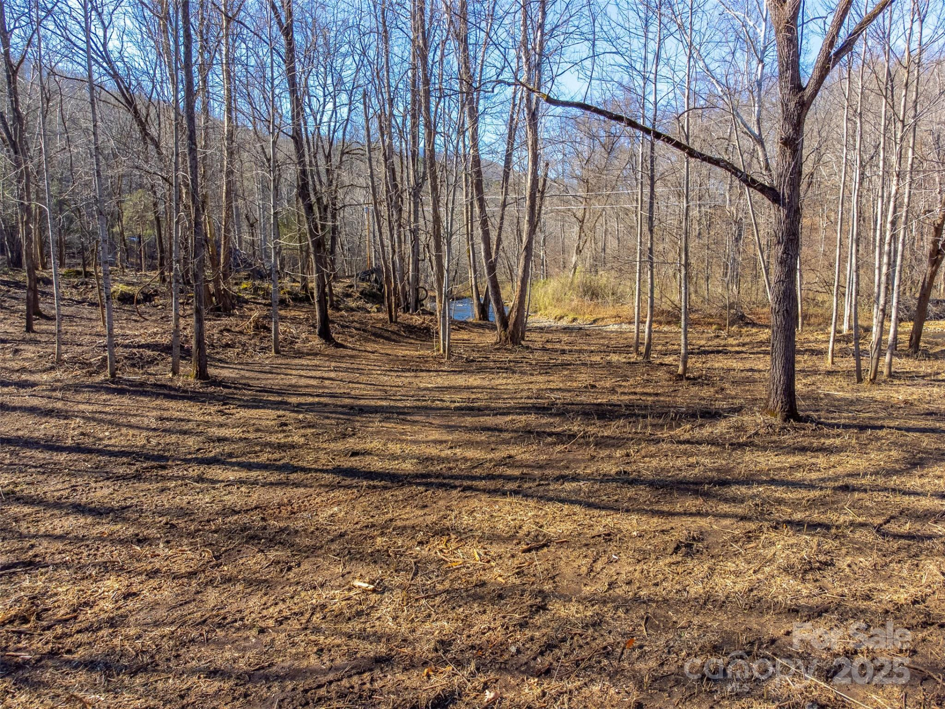 Lt 1,2,3 Caney Fork Road - Photo 39