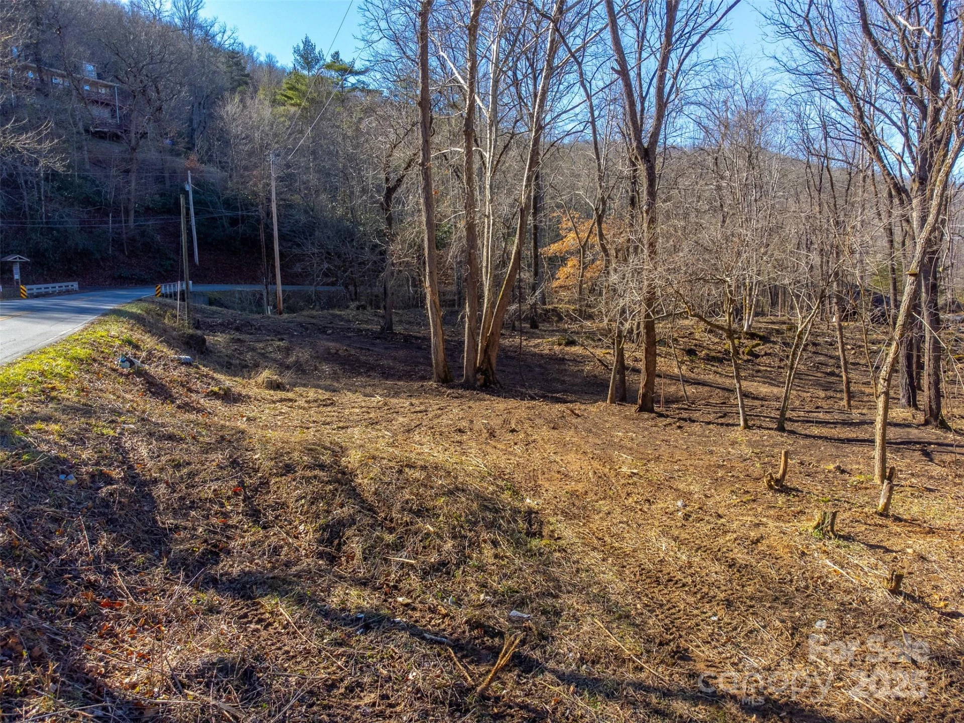 Lt 1,2,3 Caney Fork Road - Photo 40