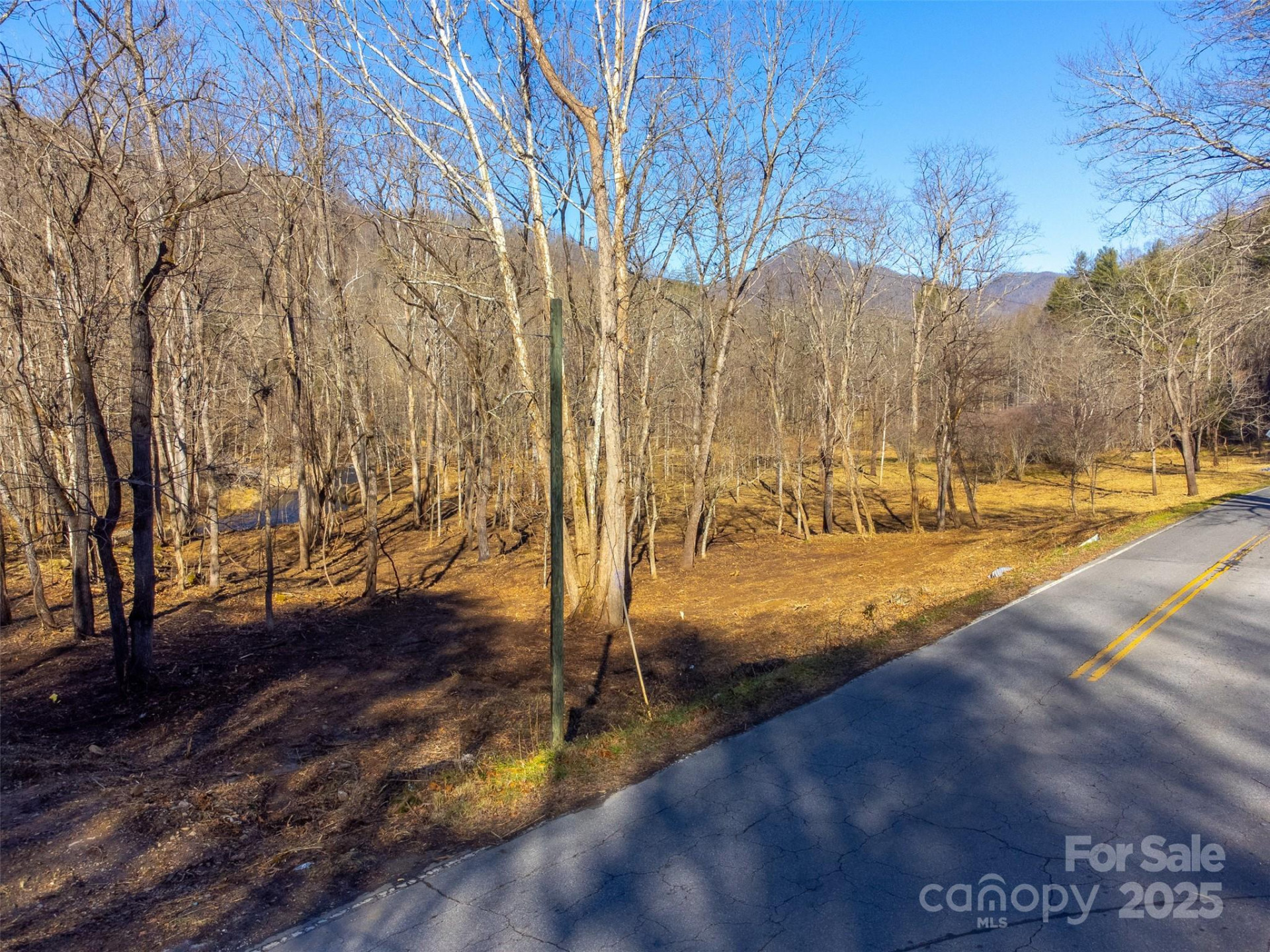 Lt 1,2,3 Caney Fork Road - Photo 5