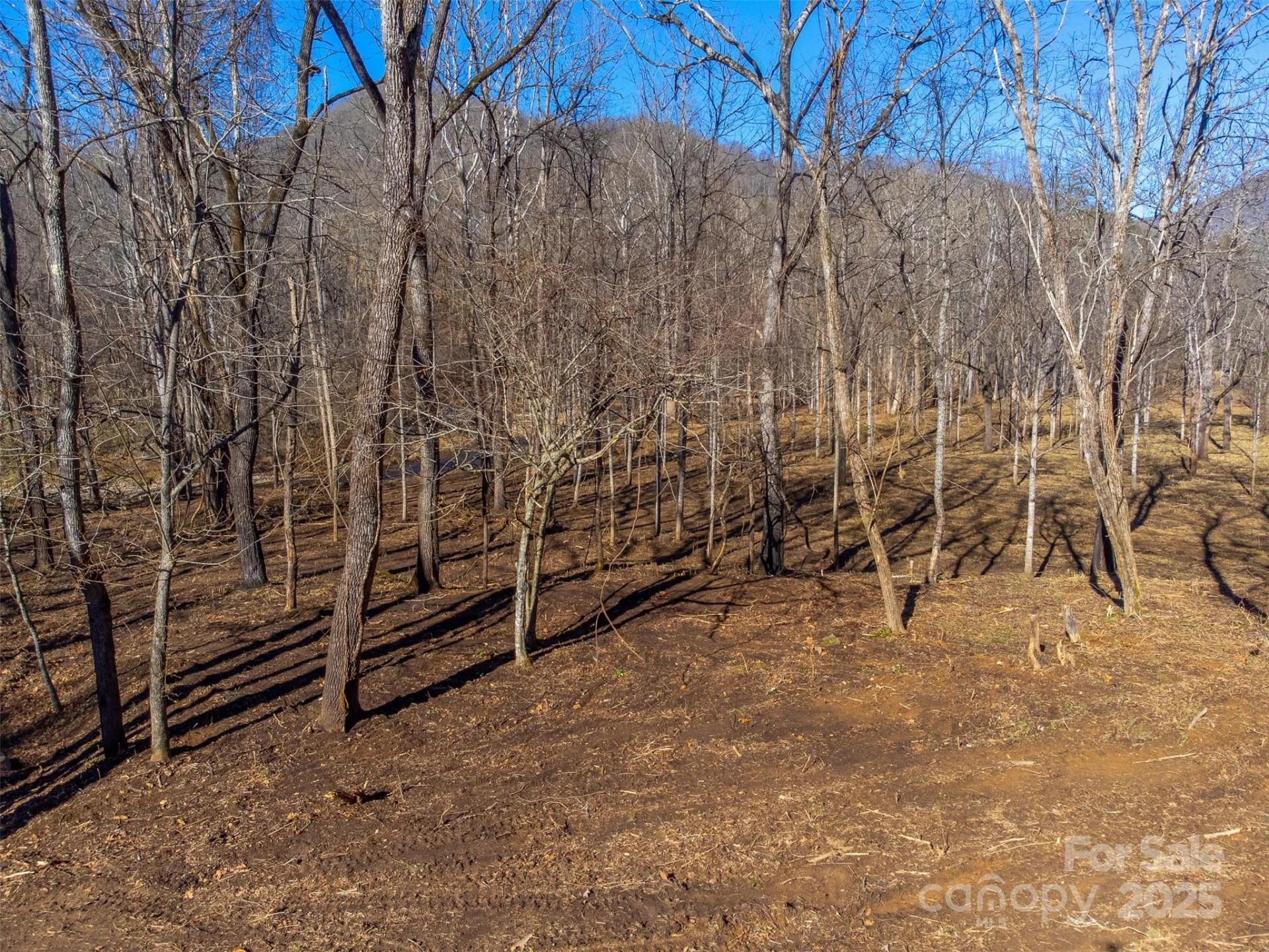 Lt 1,2,3 Caney Fork Road - Photo 41