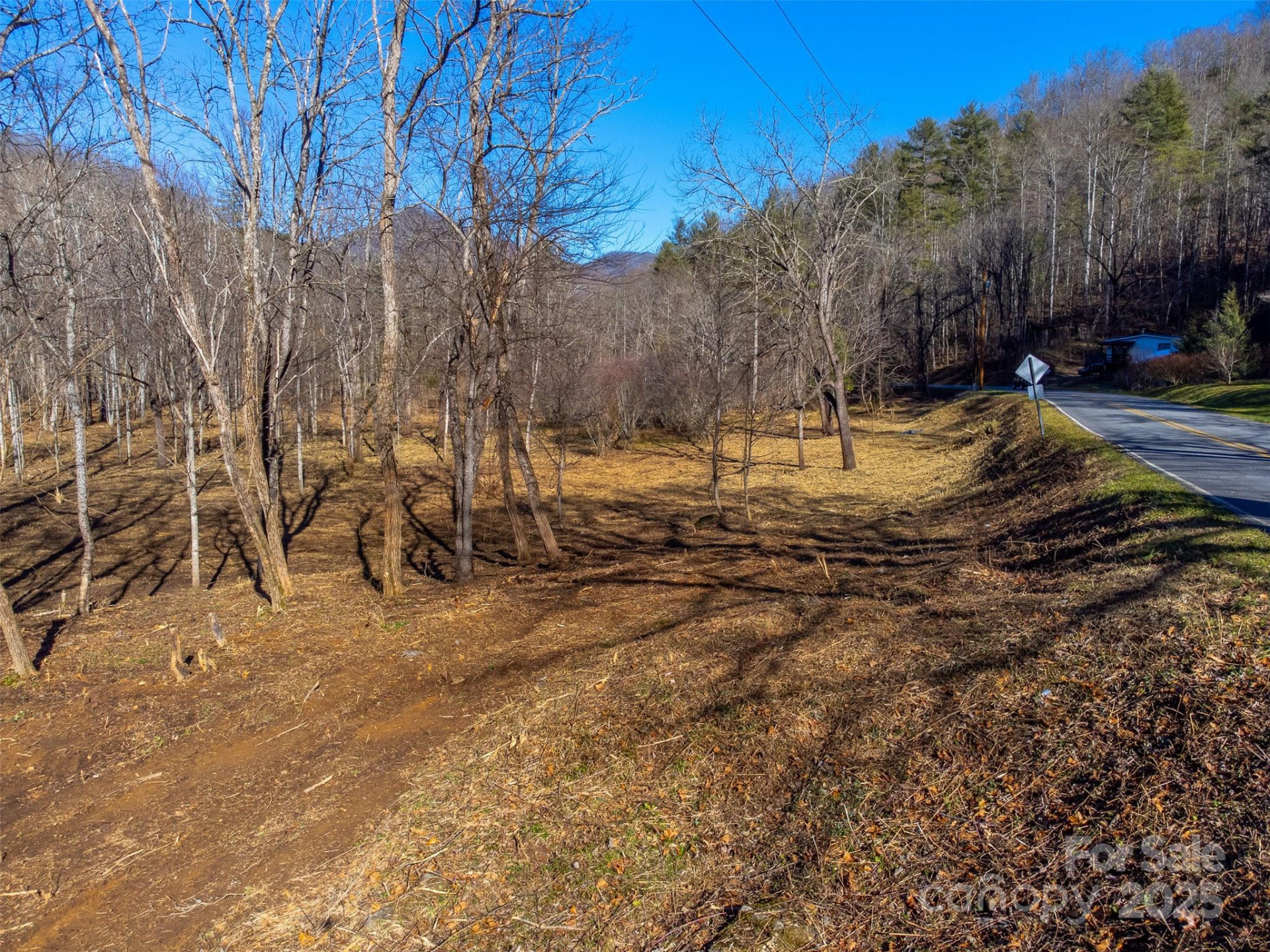 Lt 1,2,3 Caney Fork Road - Photo 42