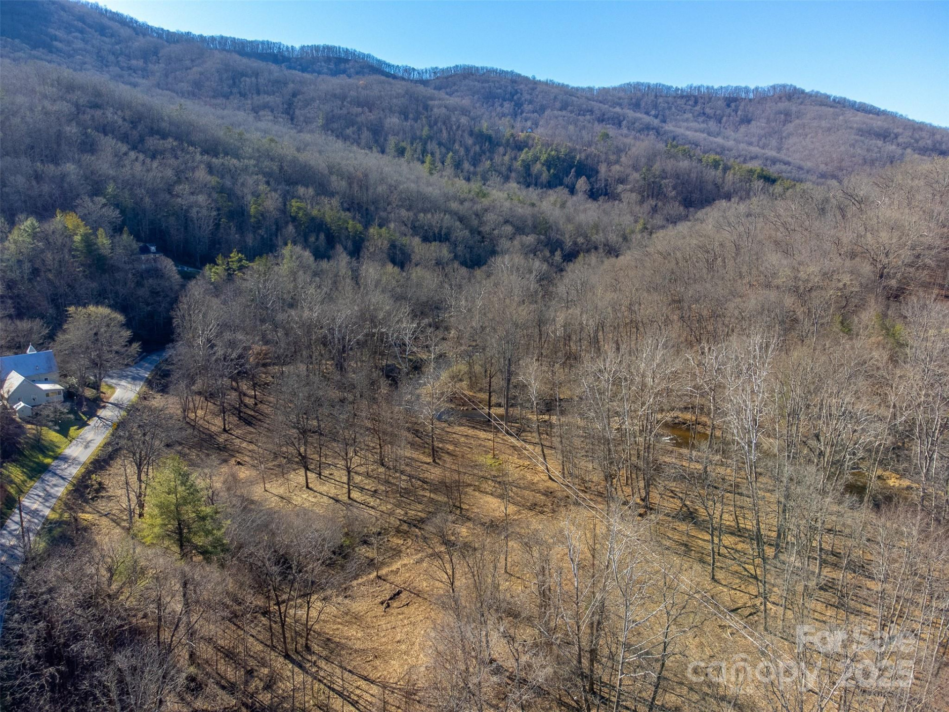 Lt 1,2,3 Caney Fork Road - Photo 44