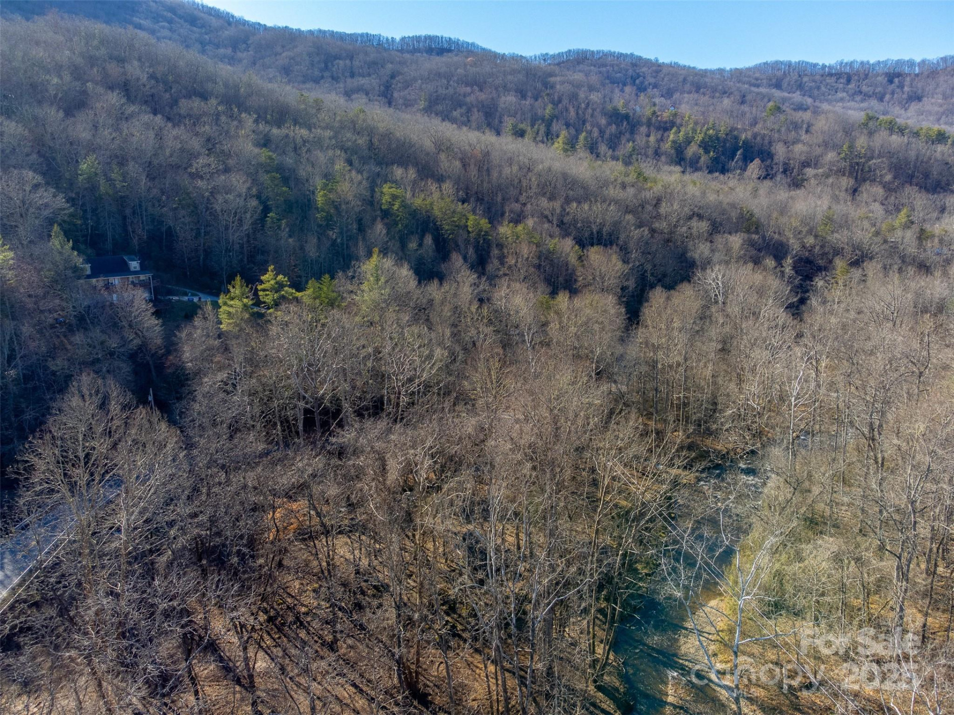 Lt 1,2,3 Caney Fork Road - Photo 47