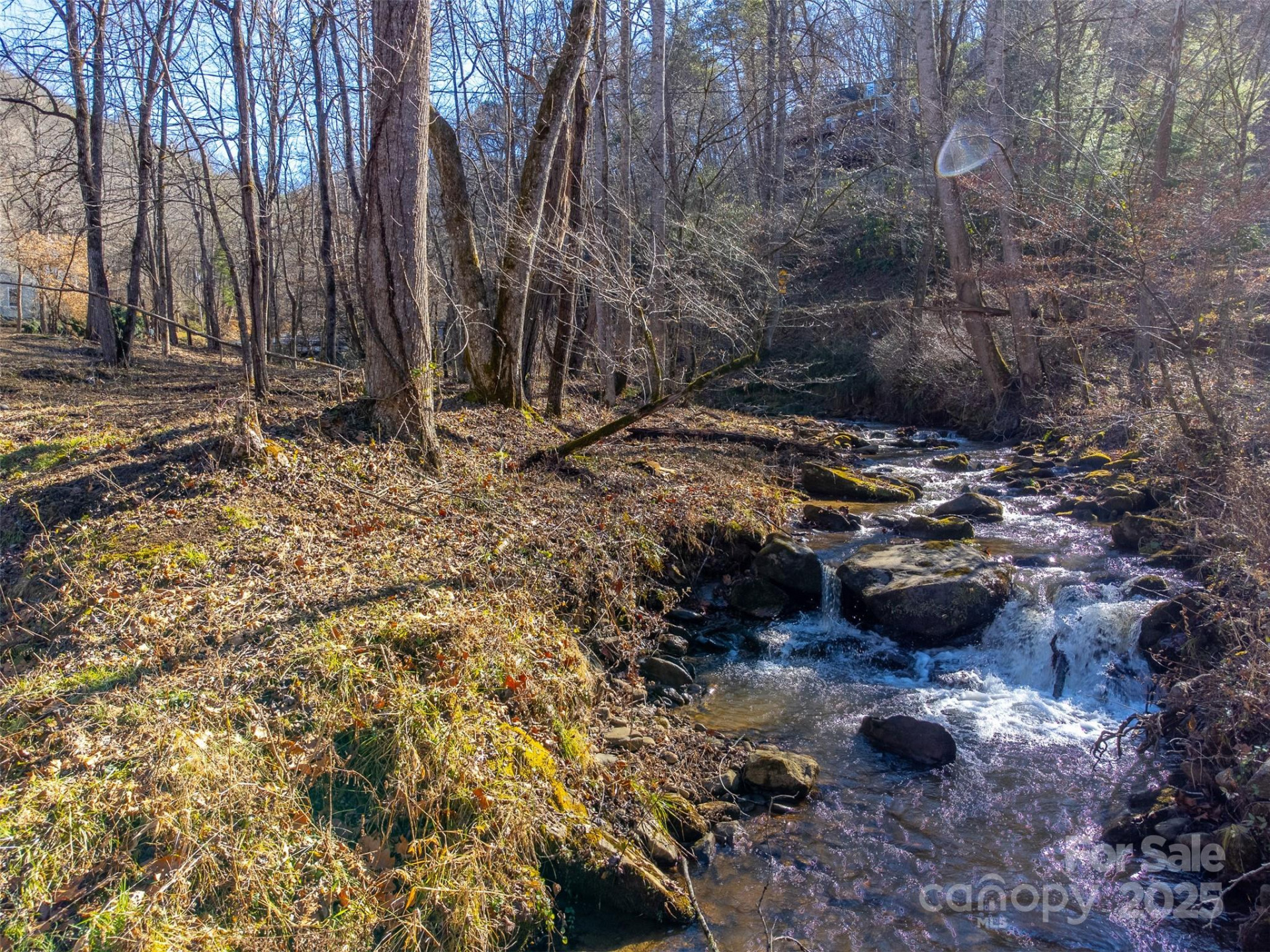 Lt 1,2,3 Caney Fork Road - Photo 6