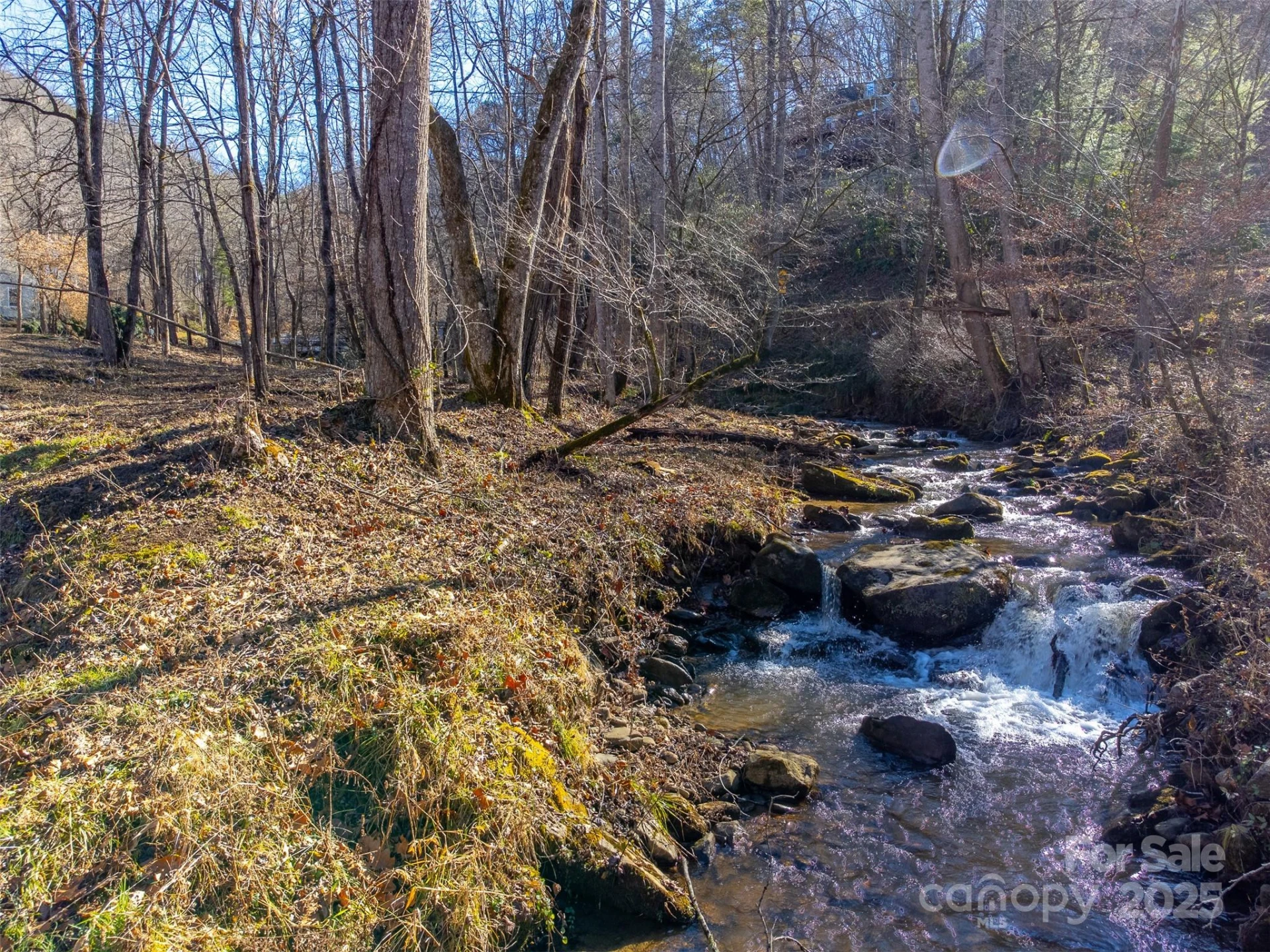 Lt 1,2,3 Caney Fork Road - Photo 6
