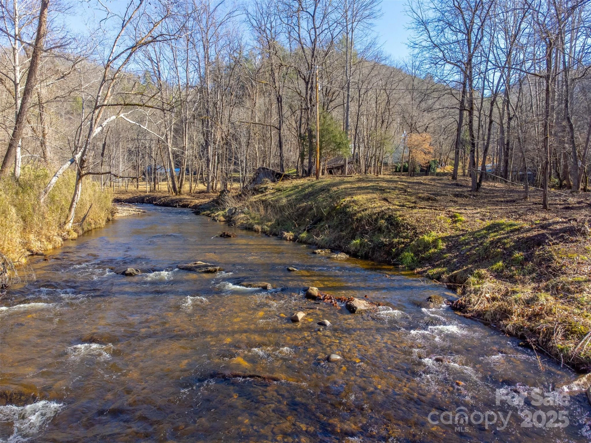 Lt 1,2,3 Caney Fork Road - Photo 7