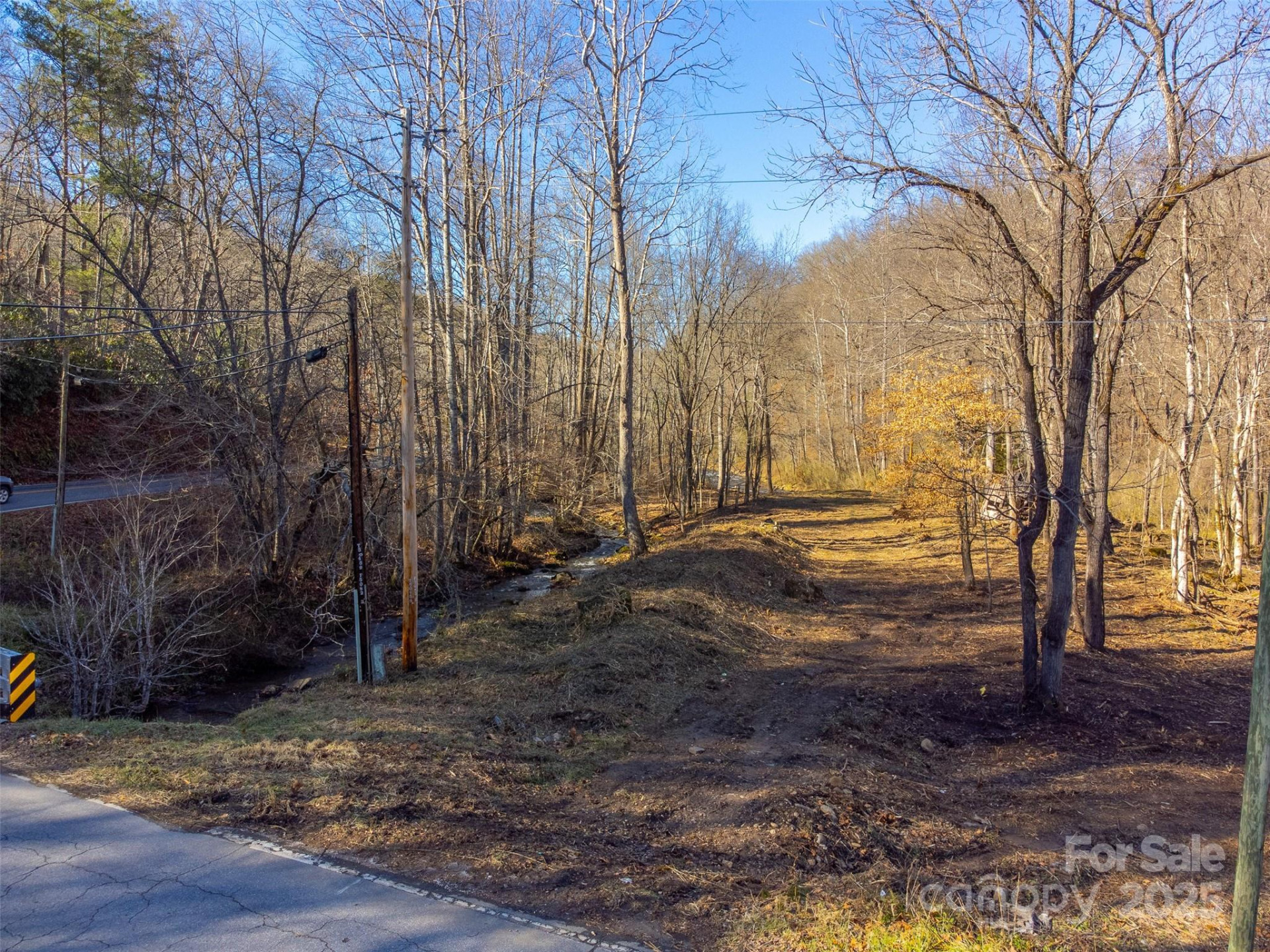 Lt 1,2,3 Caney Fork Road - Photo 9