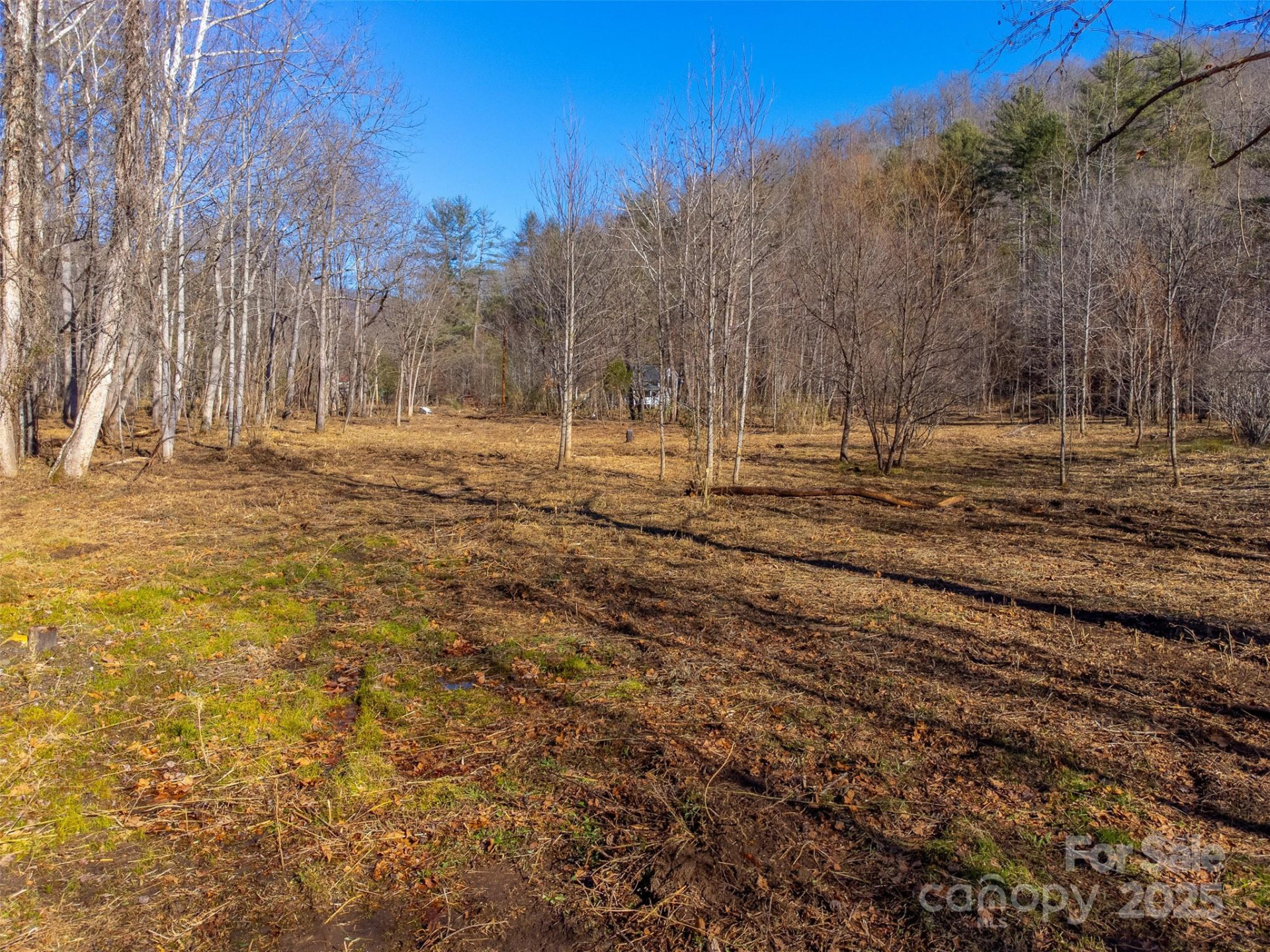 Lt 1,2,3 Caney Fork Road - Photo 10