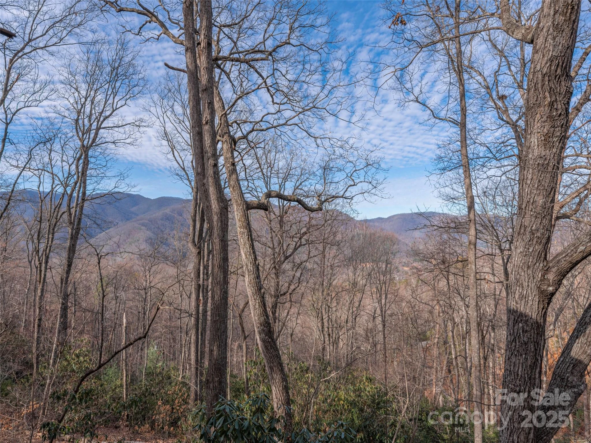 1392 Mount Chalet Road - Photo 4