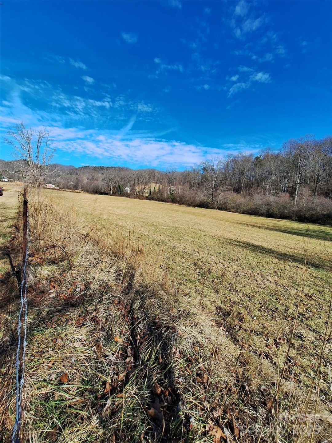 40 Georges Branch Road - Photo 3