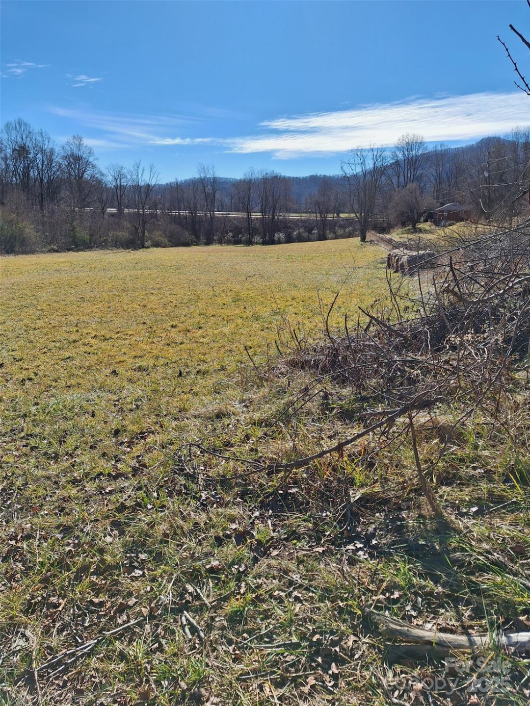 40 Georges Branch Road - Photo 4