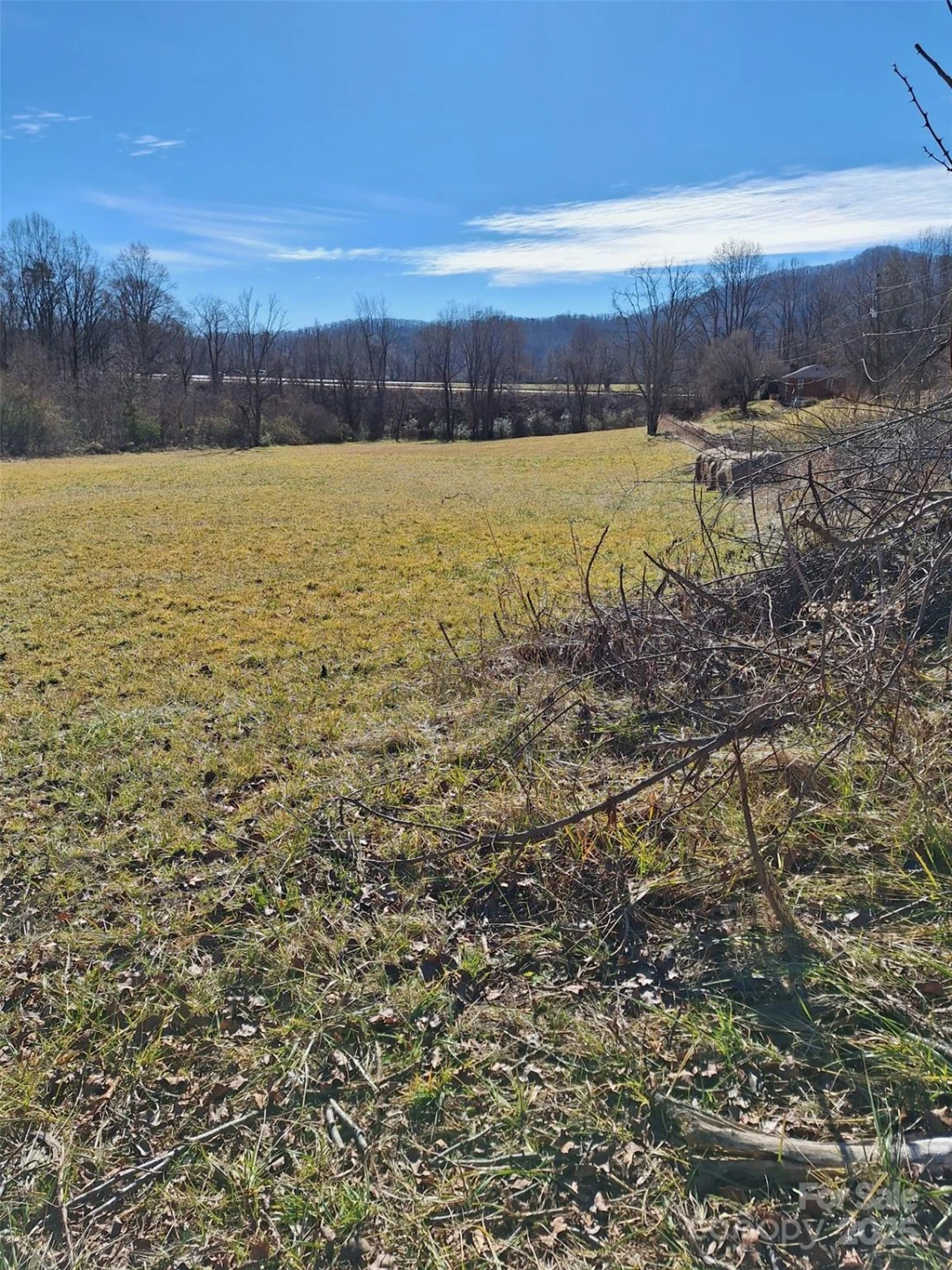 40 Georges Branch Road - Photo 4