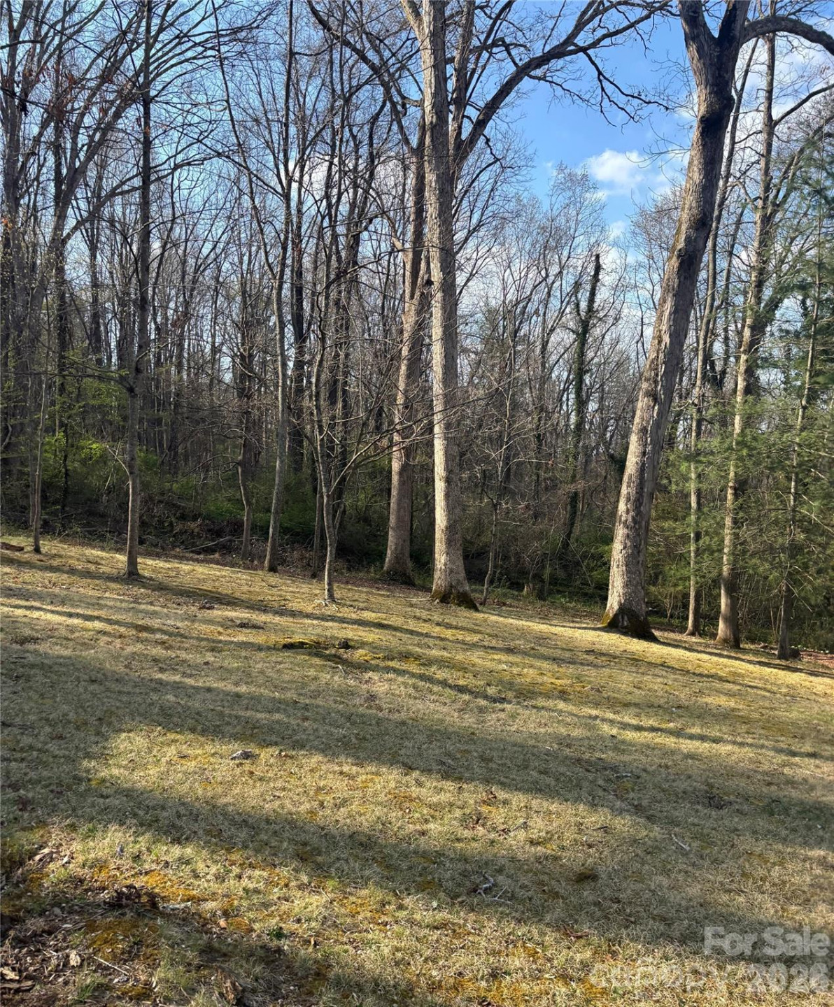 67 Shawnee Trail - Photo 32