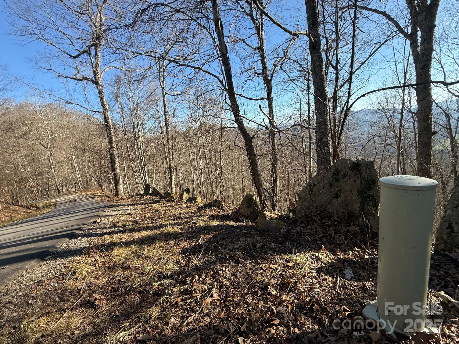 11 Lots Brer Rabbit Trail - Photo 20