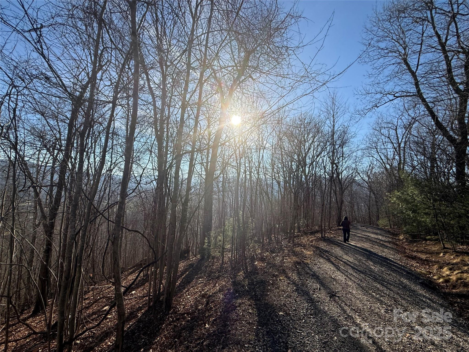 11 Lots Brer Rabbit Trail - Photo 24