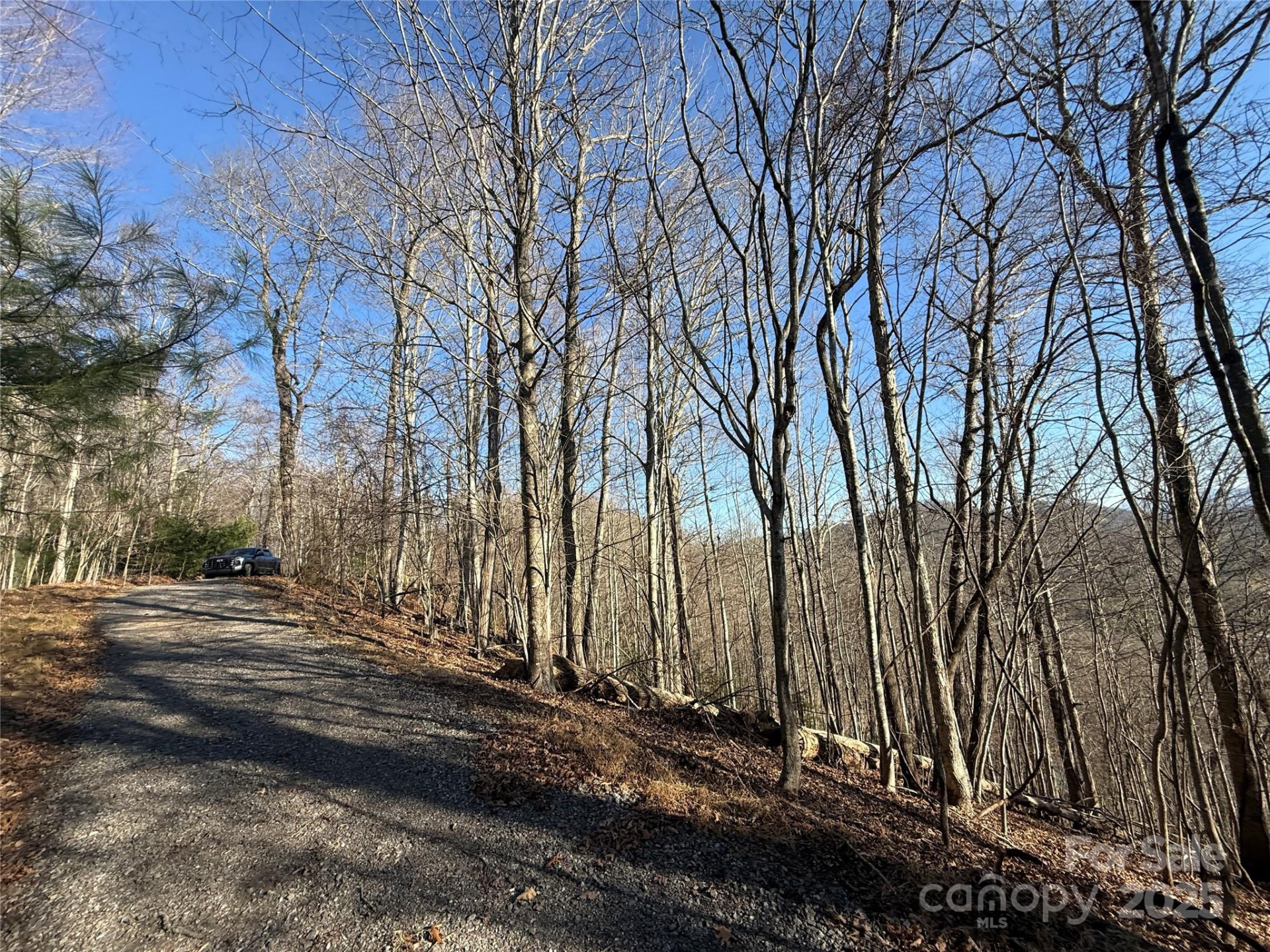 11 Lots Brer Rabbit Trail - Photo 26