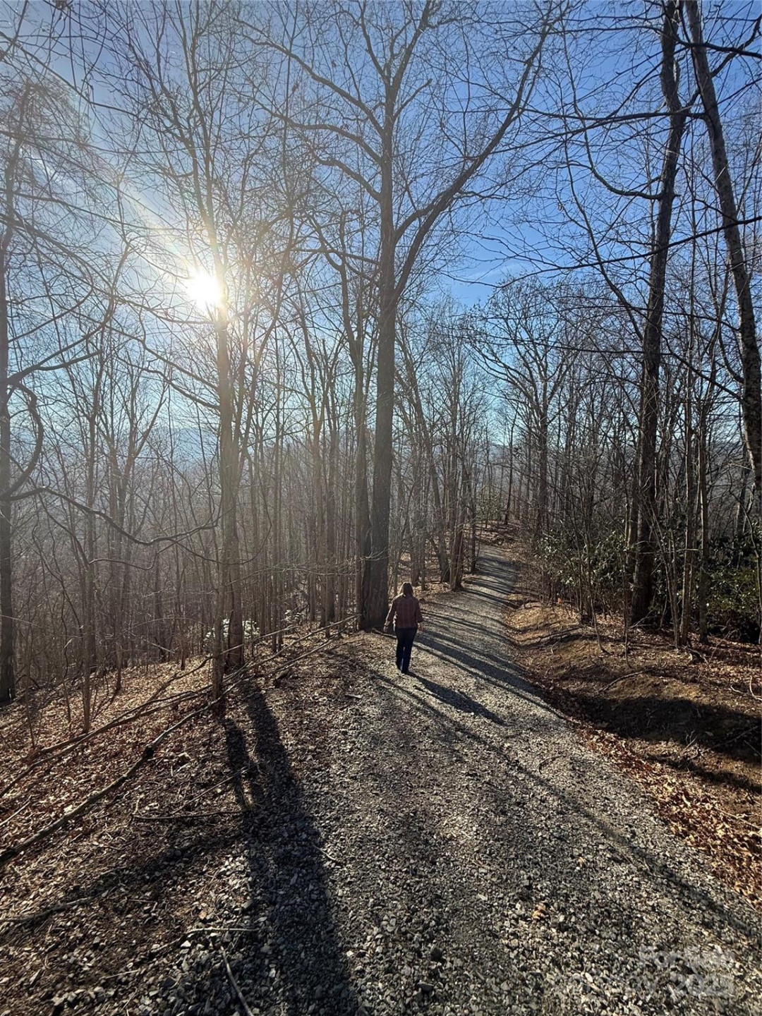 11 Lots Brer Rabbit Trail - Photo 29