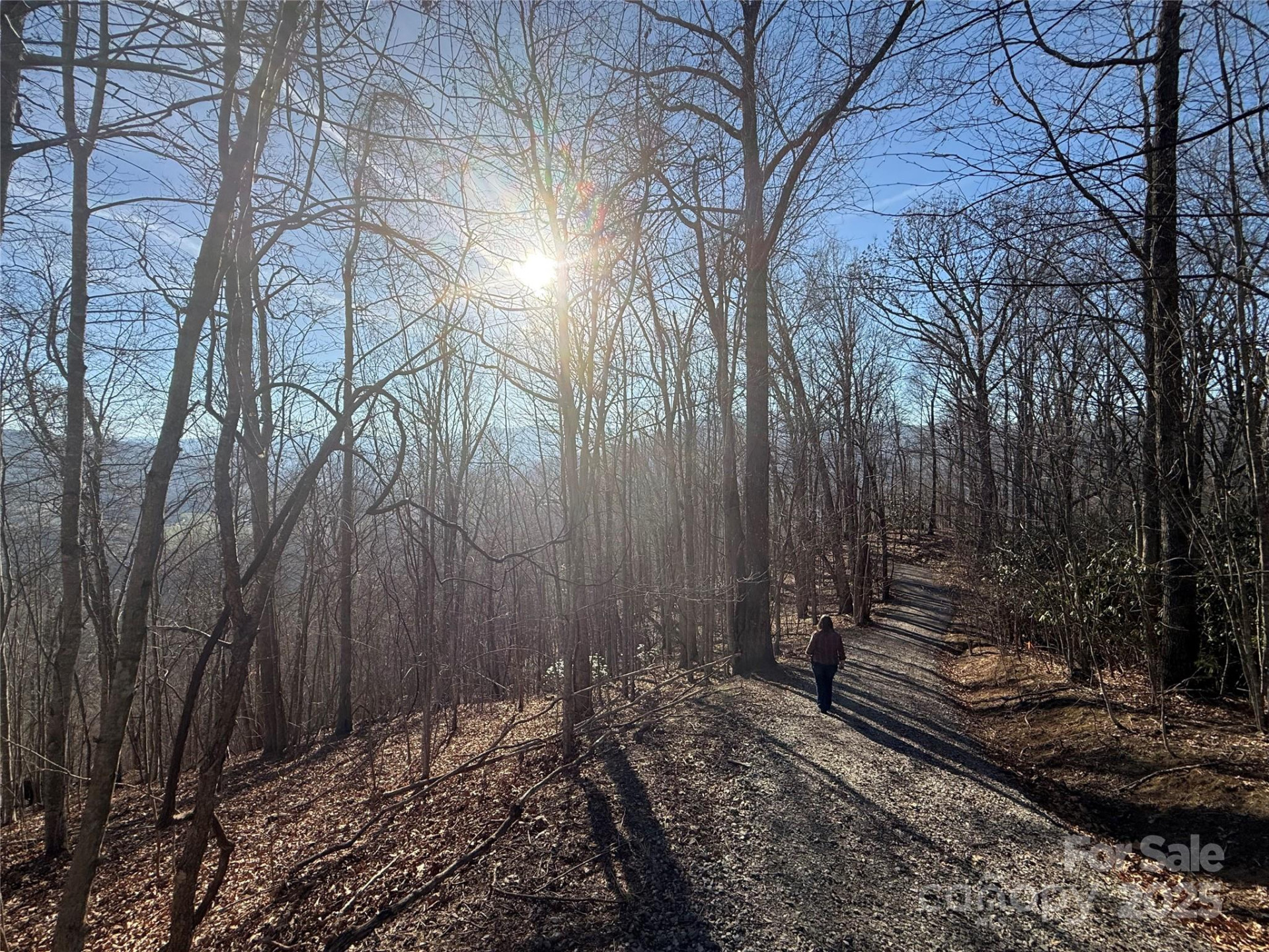 11 Lots Brer Rabbit Trail - Photo 30