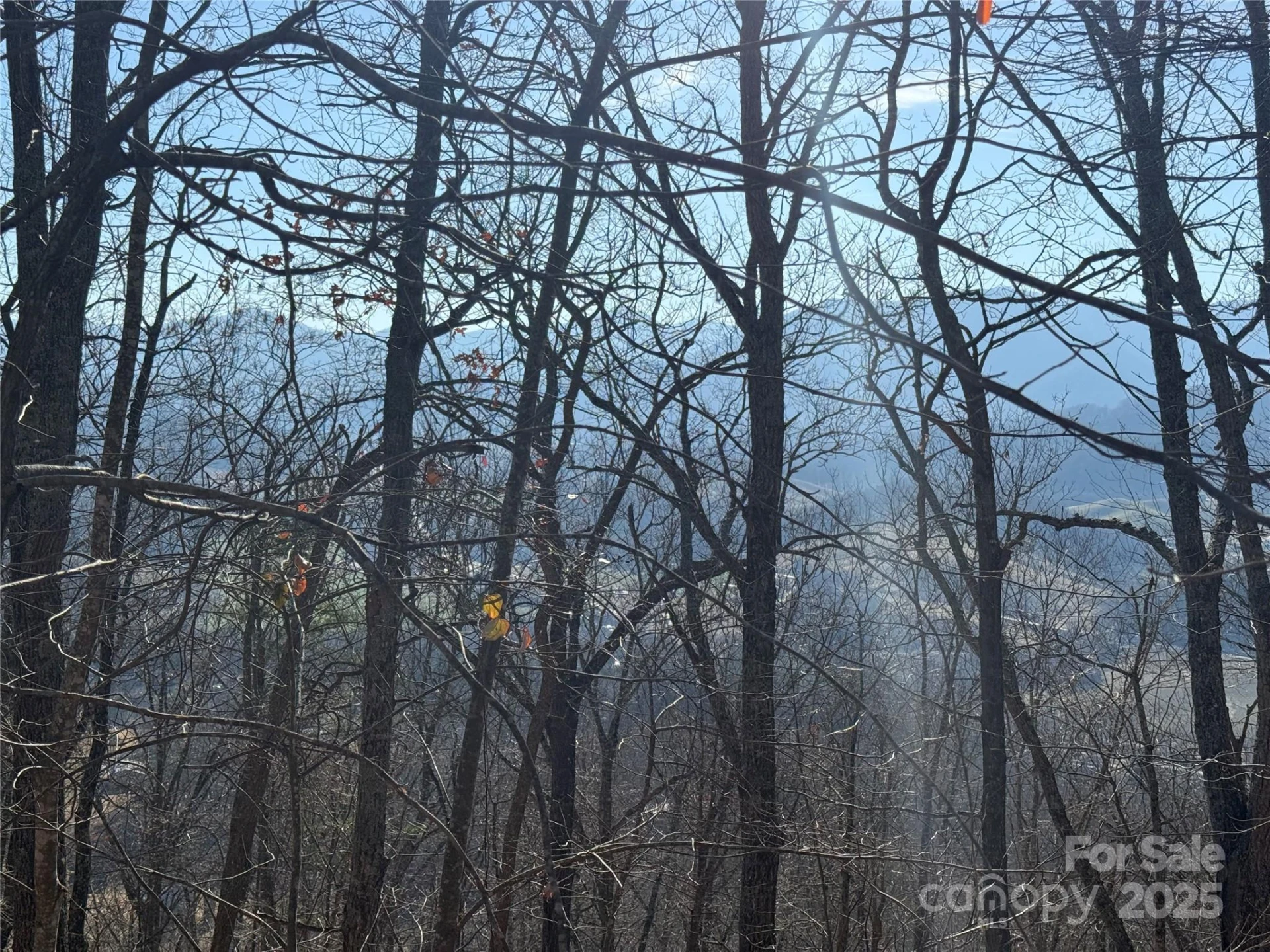22,23,28 Brer Rabbit Trail - Photo 16