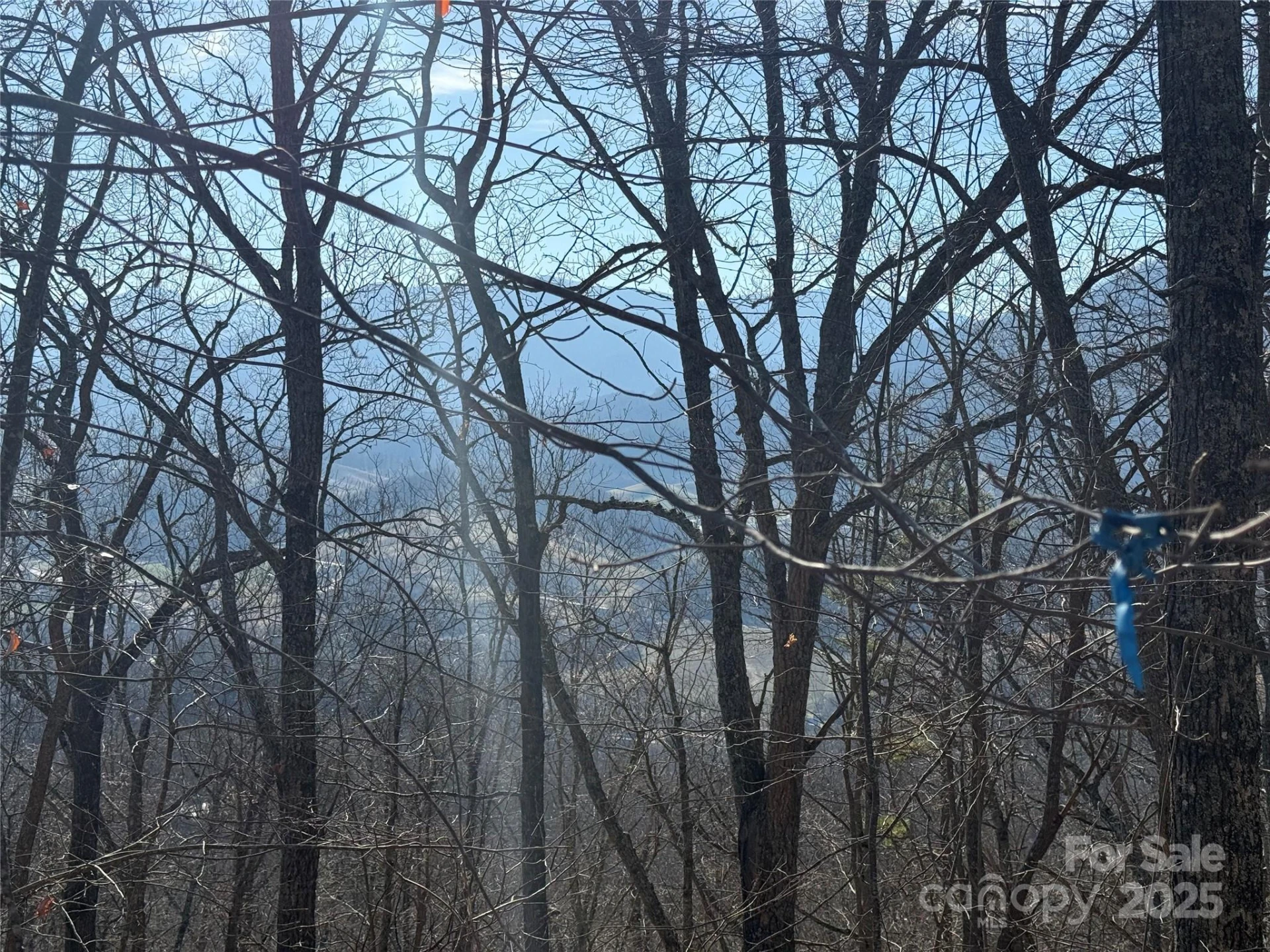 22,23,28 Brer Rabbit Trail - Photo 17
