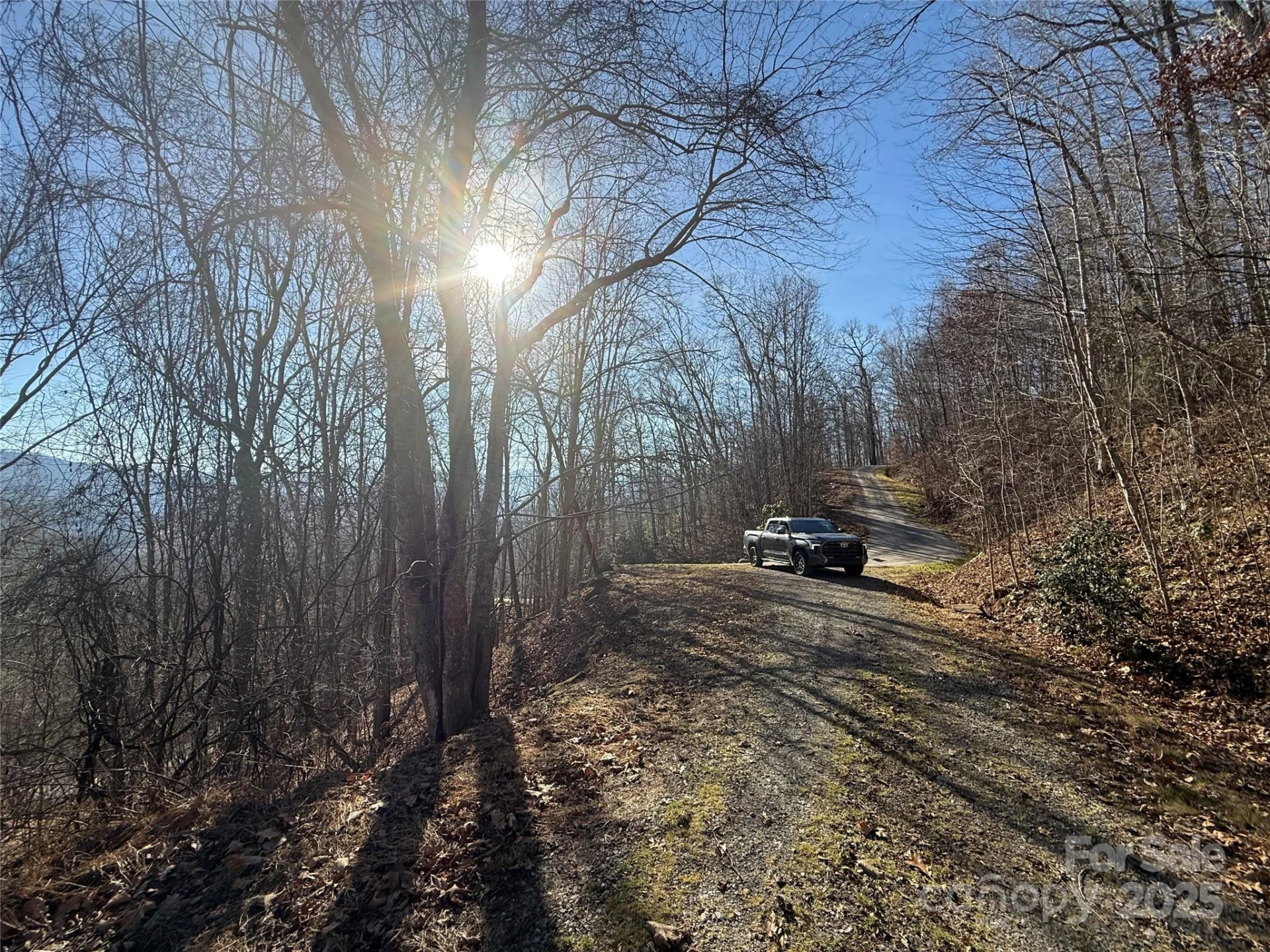 22,23,28 Brer Rabbit Trail - Photo 3