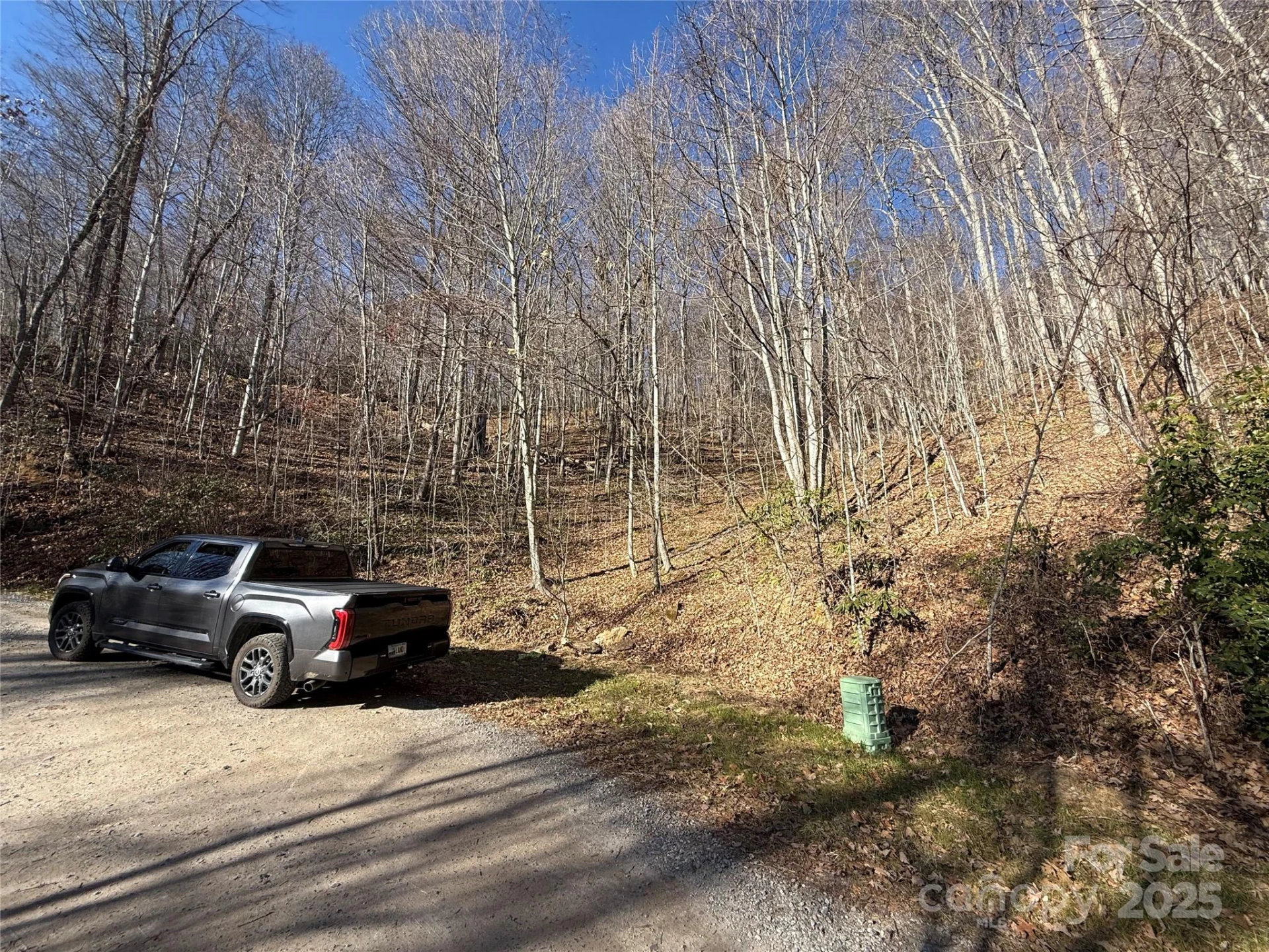 22,23,28 Brer Rabbit Trail - Photo 7